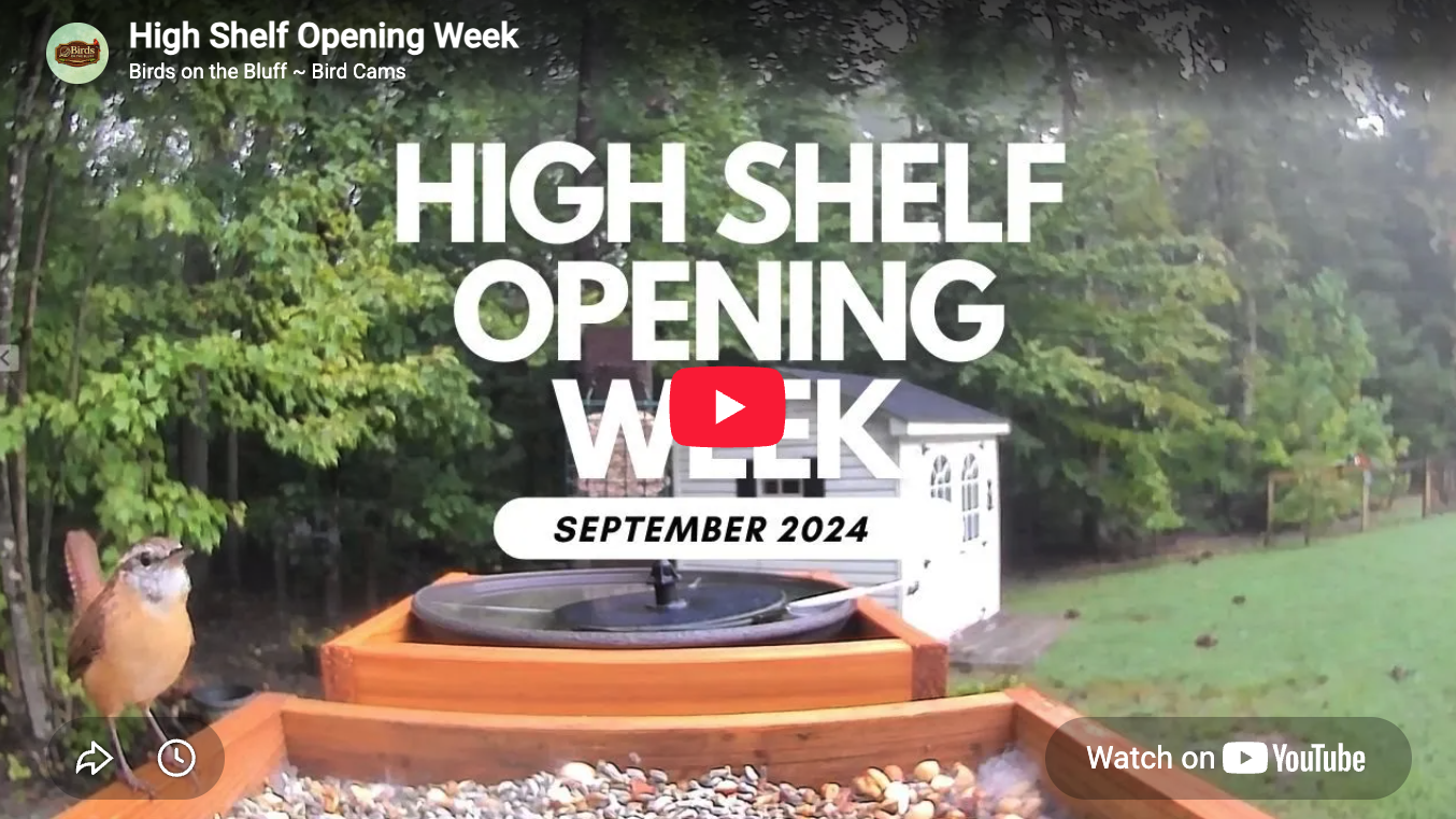 High Shelf on the Bluff Opening Week