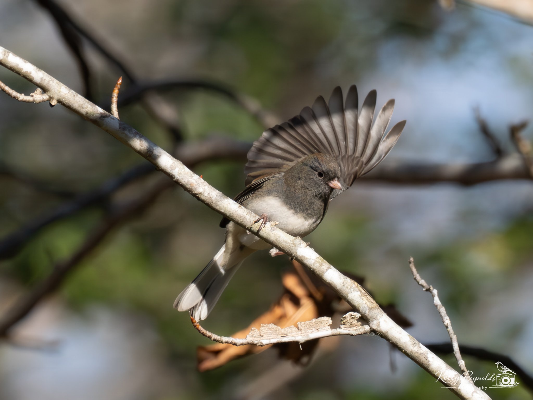 _B290326-Edit.jpg