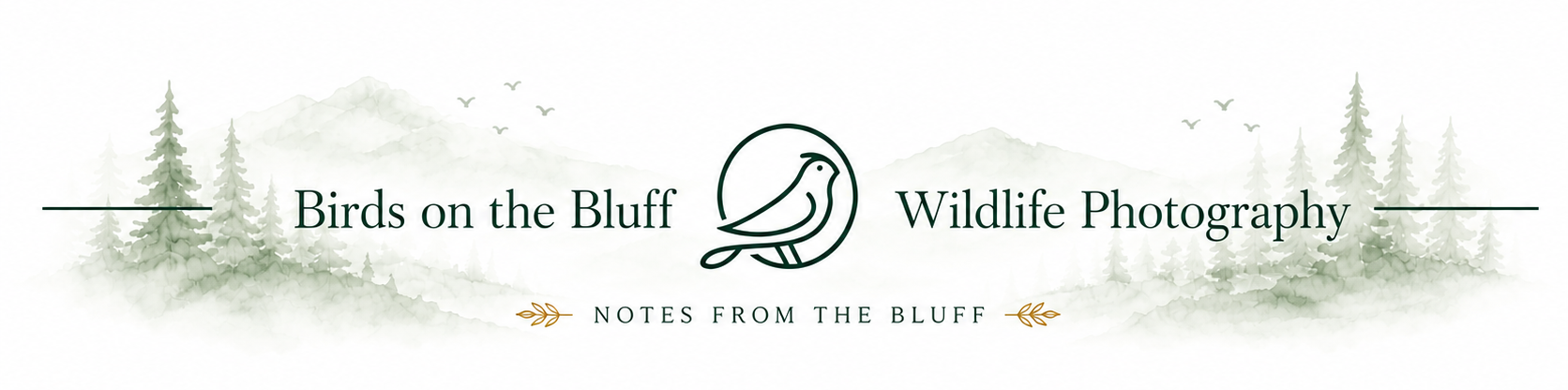 A logo for 'Birds on the Bluff Wildlife Photography' featuring a stylized bird inside a circle, with a background of watercolor mountains and pine trees, and text with decorative elements.