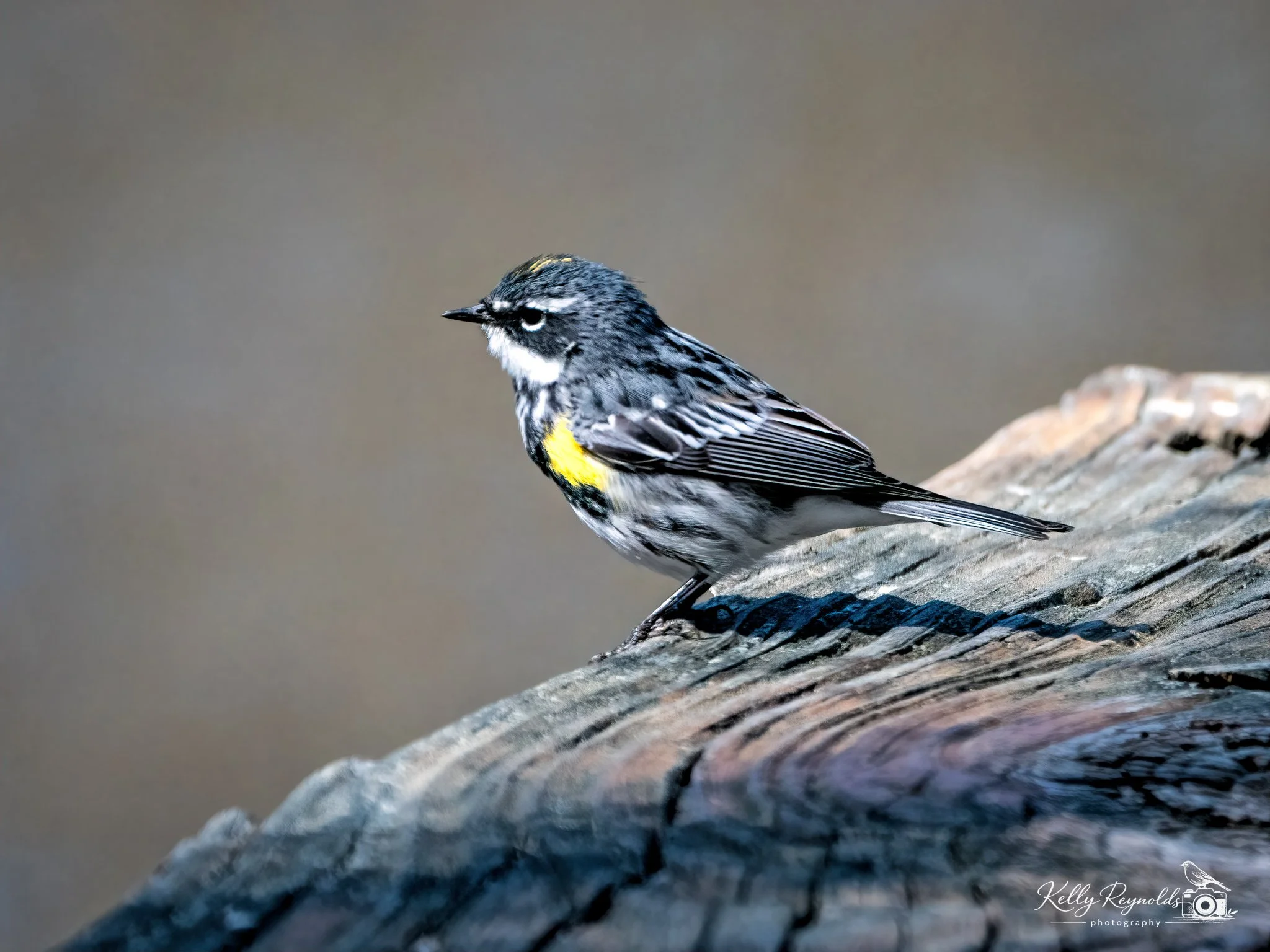 P4211129-Edit-Edit.jpg