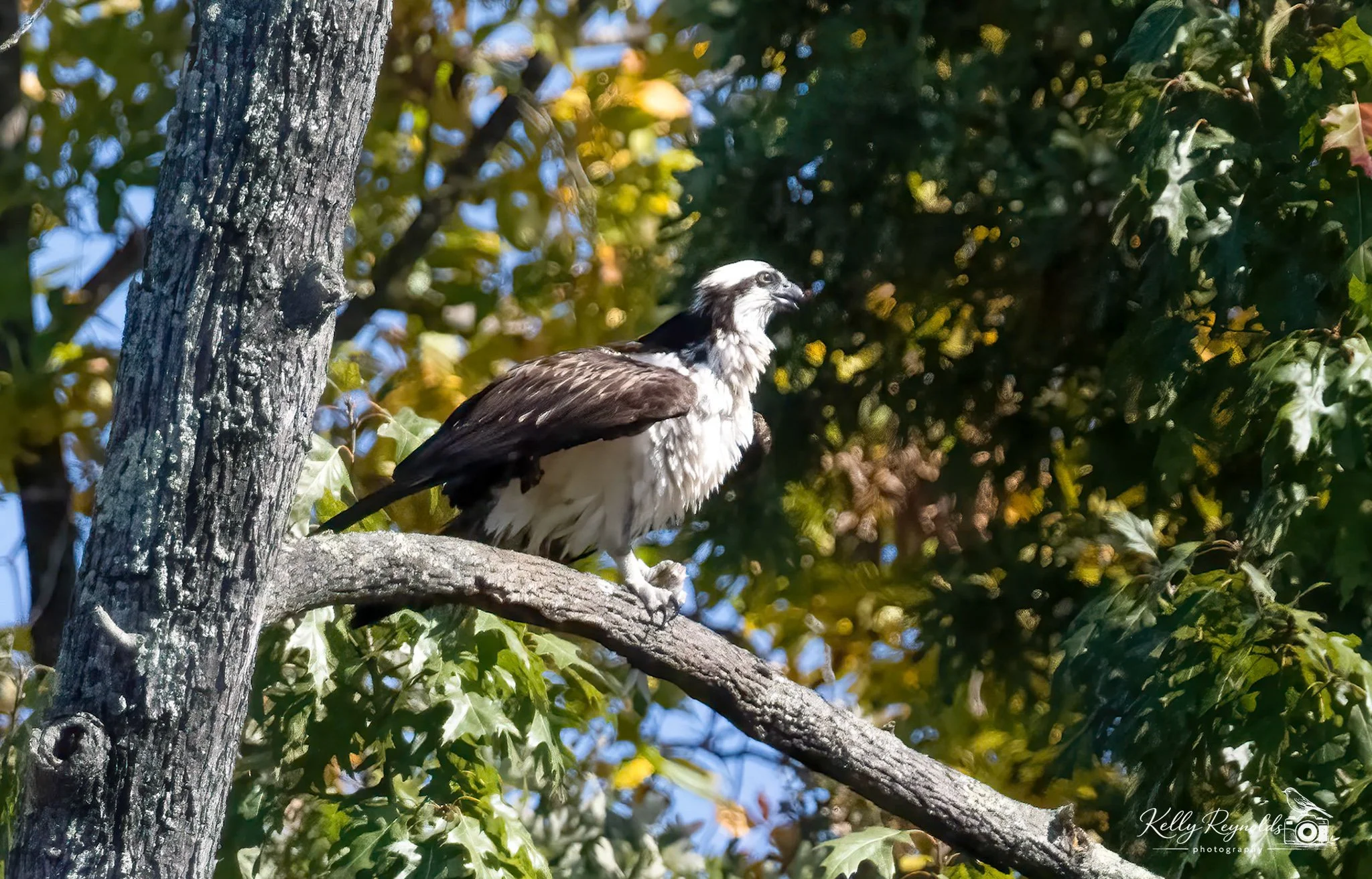 4a13cf1c-08e8-4fa6-8f0f-ebcd04625bf2_rw_1920.jpg