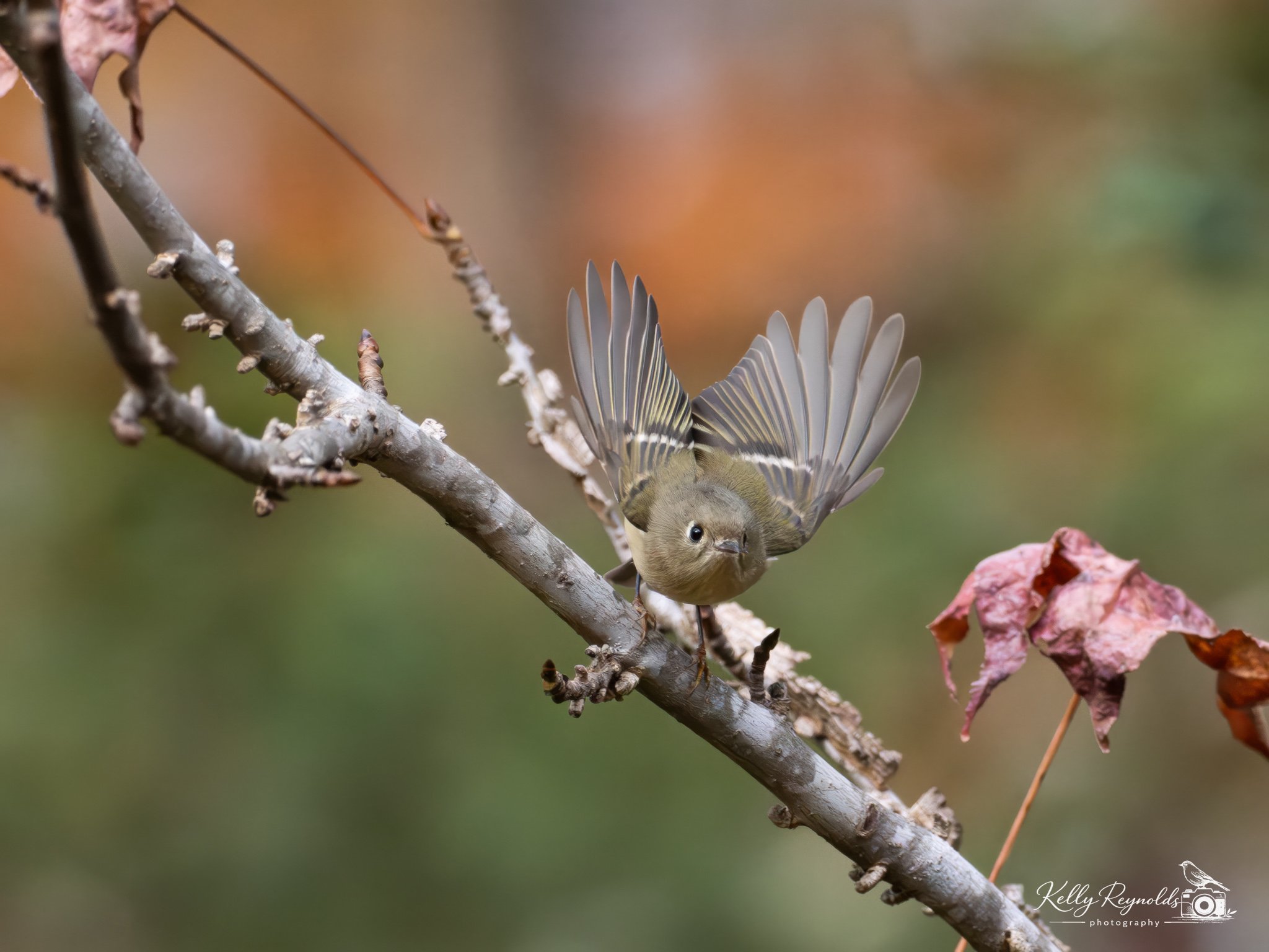 _B147887-Edit.jpg
