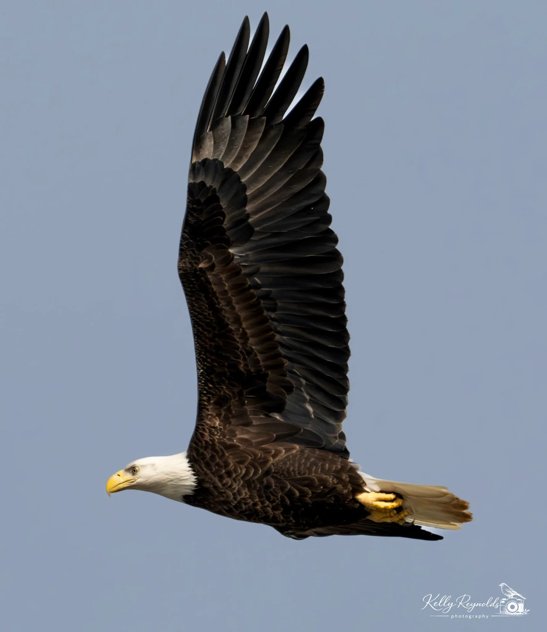 336f8a9f-9f37-4dd7-9888-4bc3c6c9c721_rw_1920.jpg