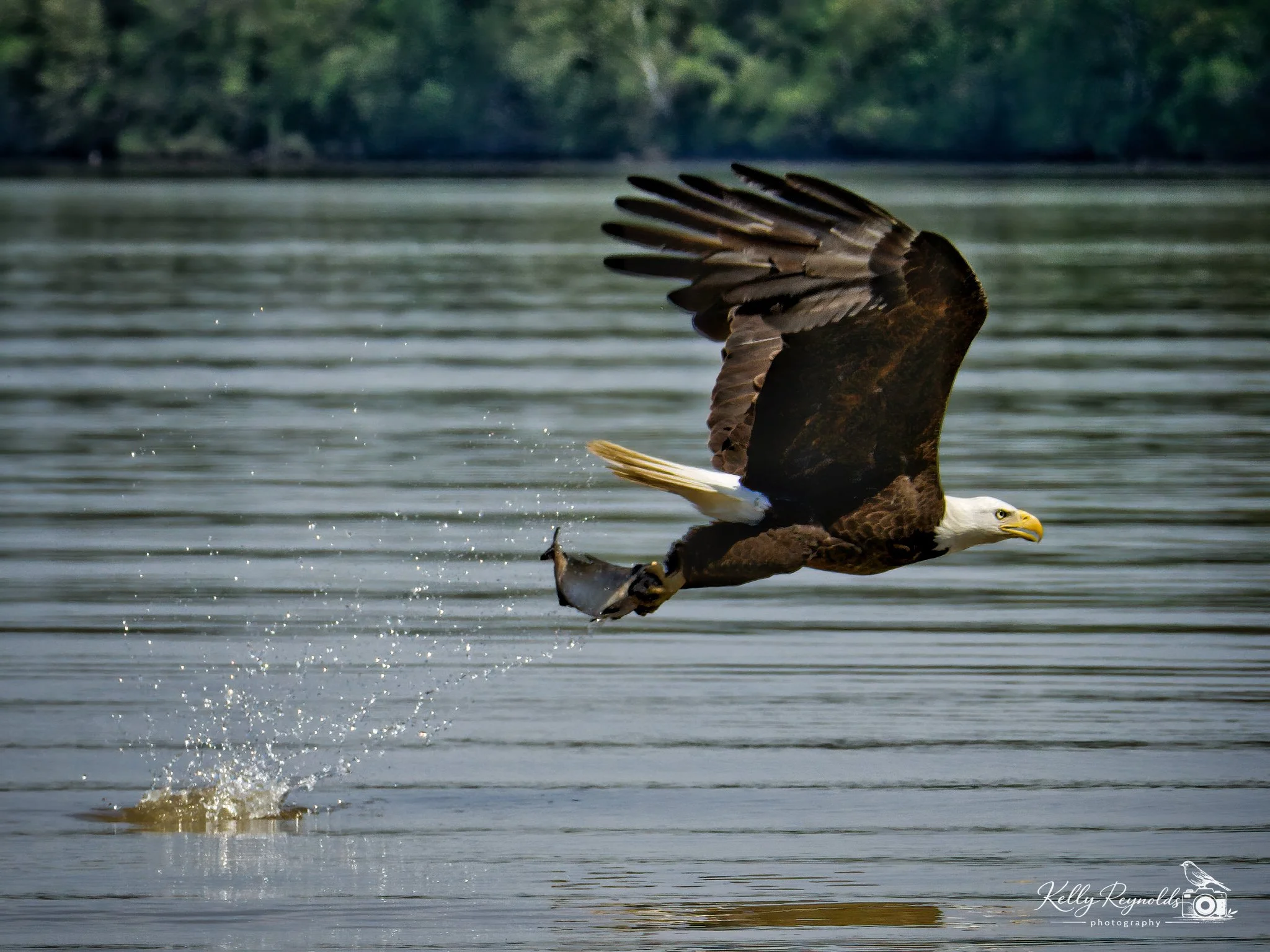IMG_0384-Edit-2.jpg