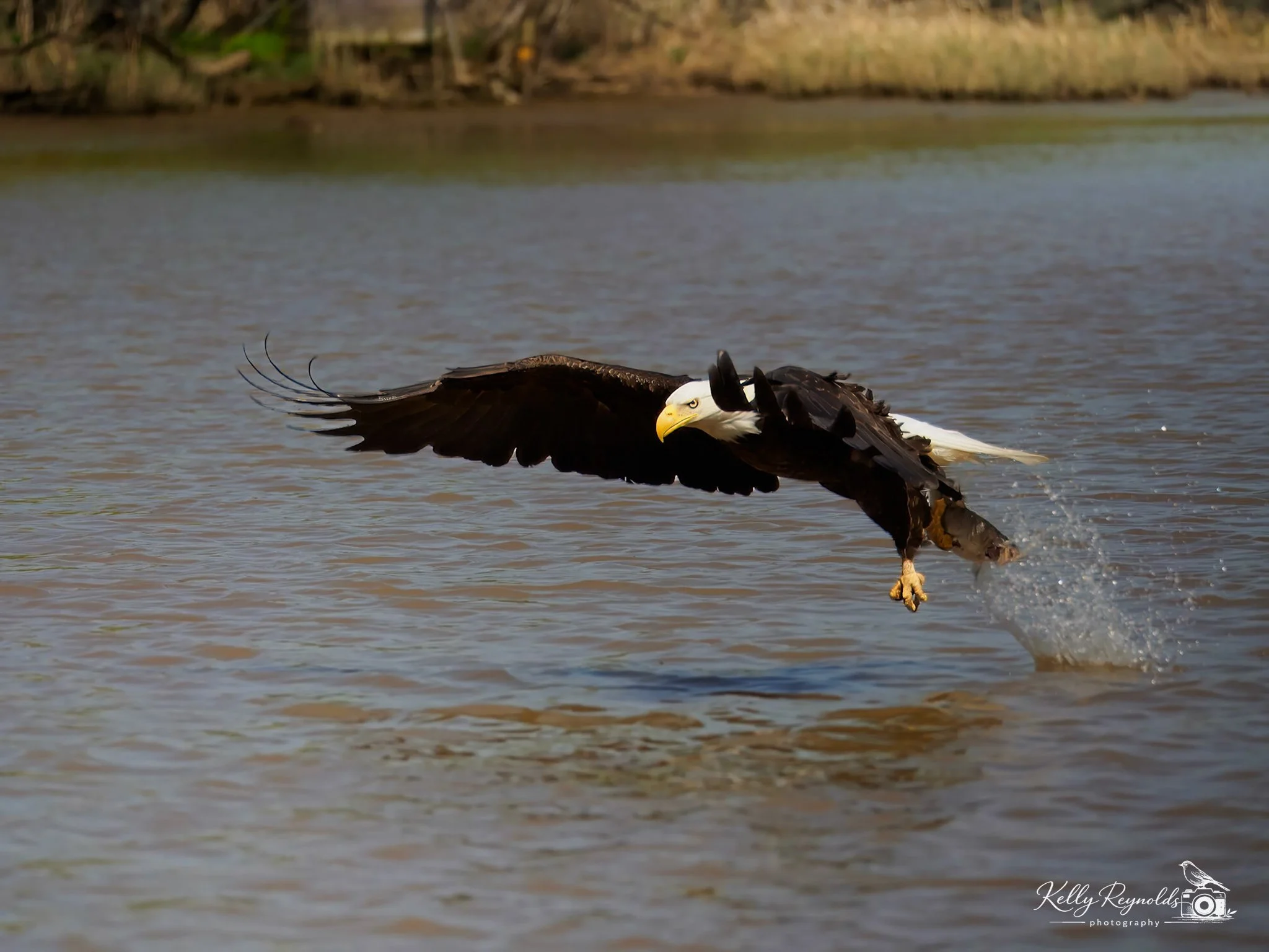 a306e28b-0d82-44d1-a807-70368b082c11_rw_1920.jpg