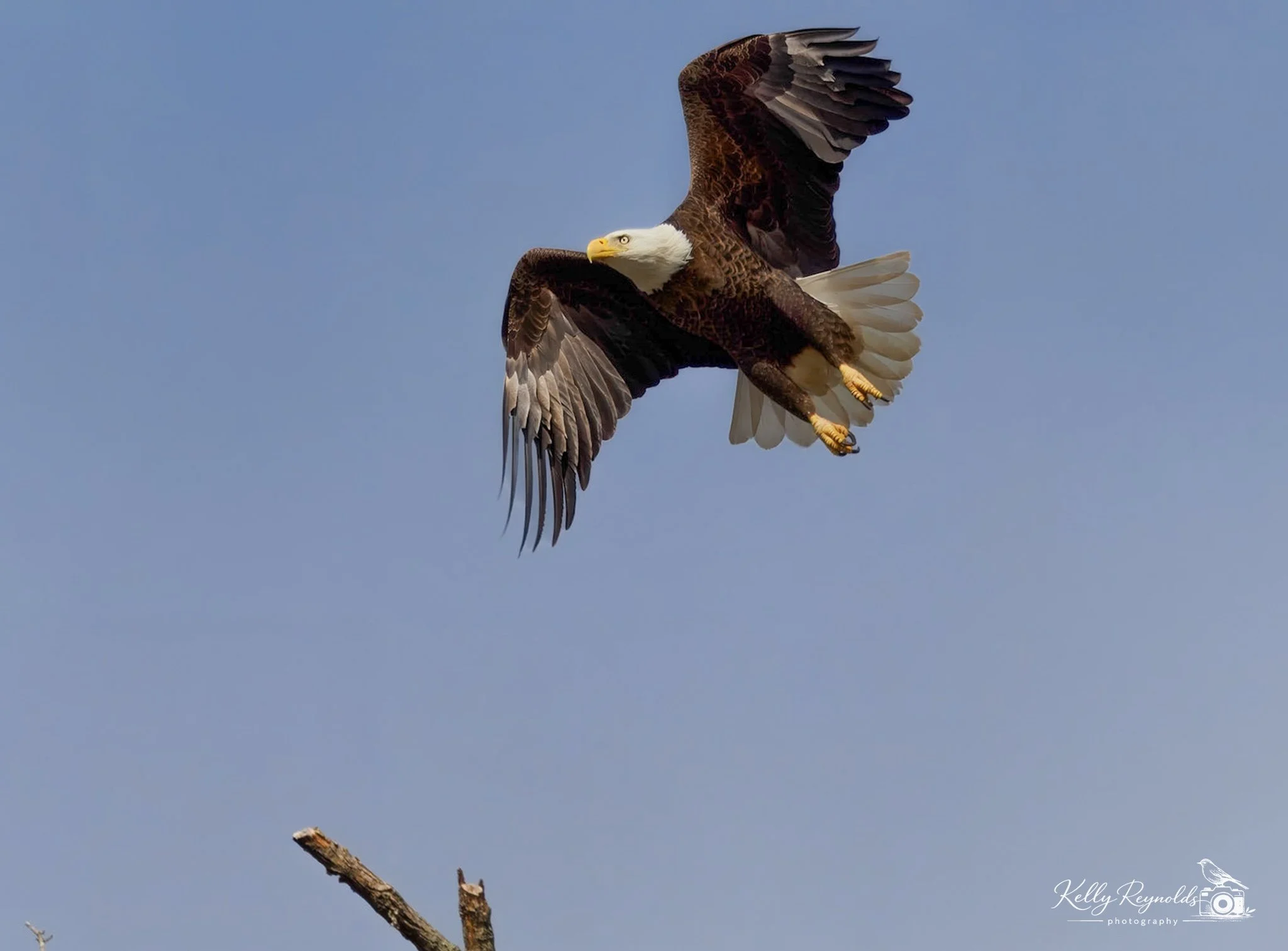 39240a2b-ff6e-4395-ab08-7a8db9f87ab5_rw_1920.jpg
