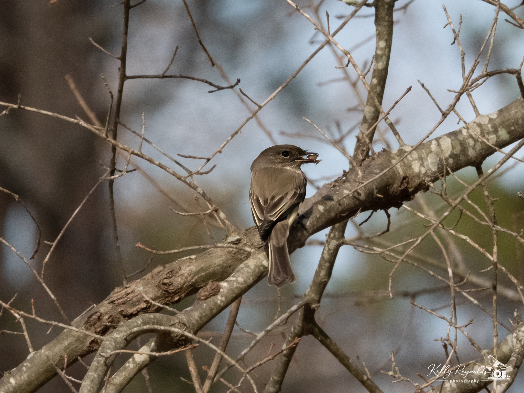 _1020457-Edit.jpg