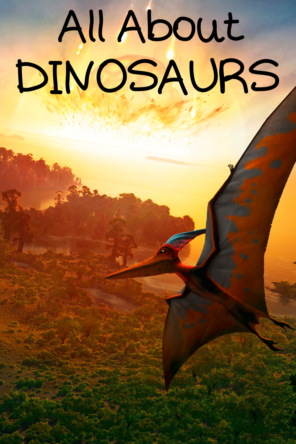 Copy of Count The Snails (6).png