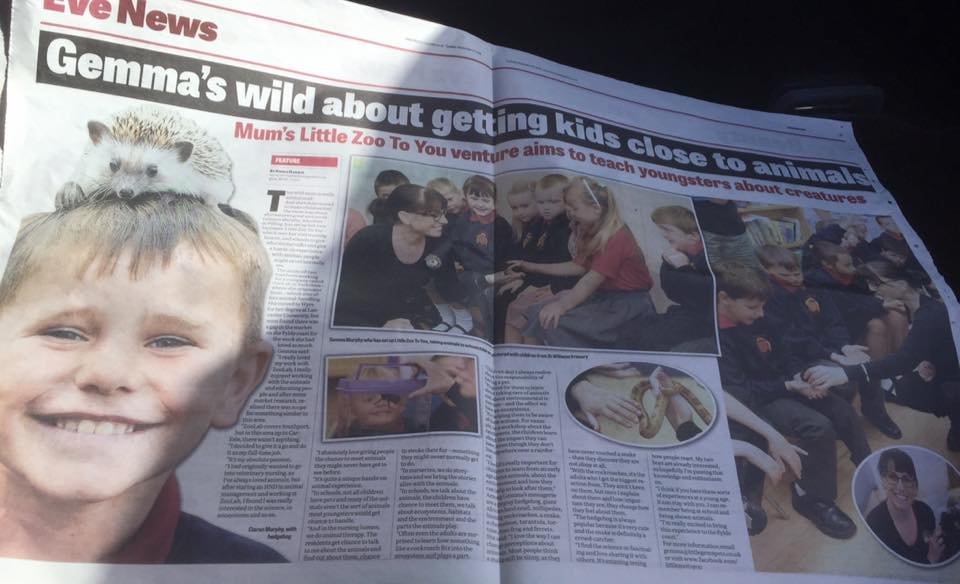 little zoo pictures.jpg