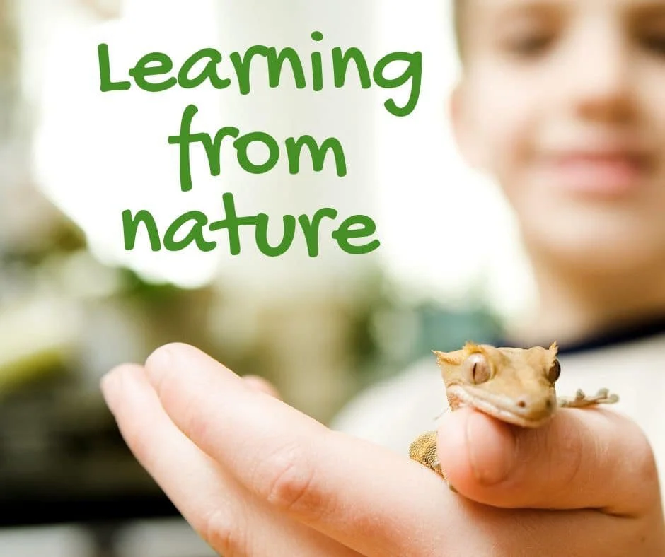 learn from nature.jpg