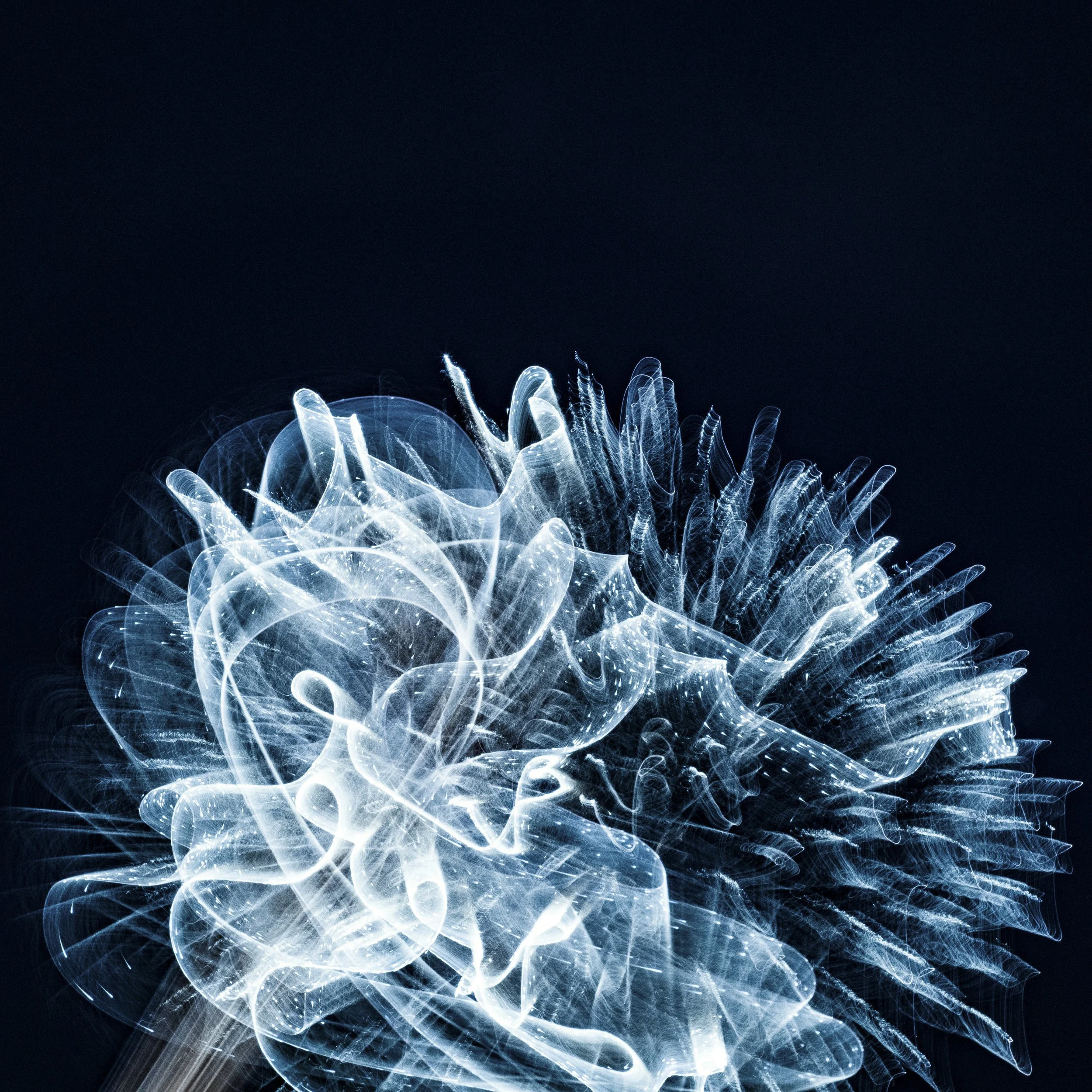 Our self-cleansing brain