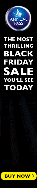 2019_10_10_Black_Friday_Digital_Banners_120x600_1.gif