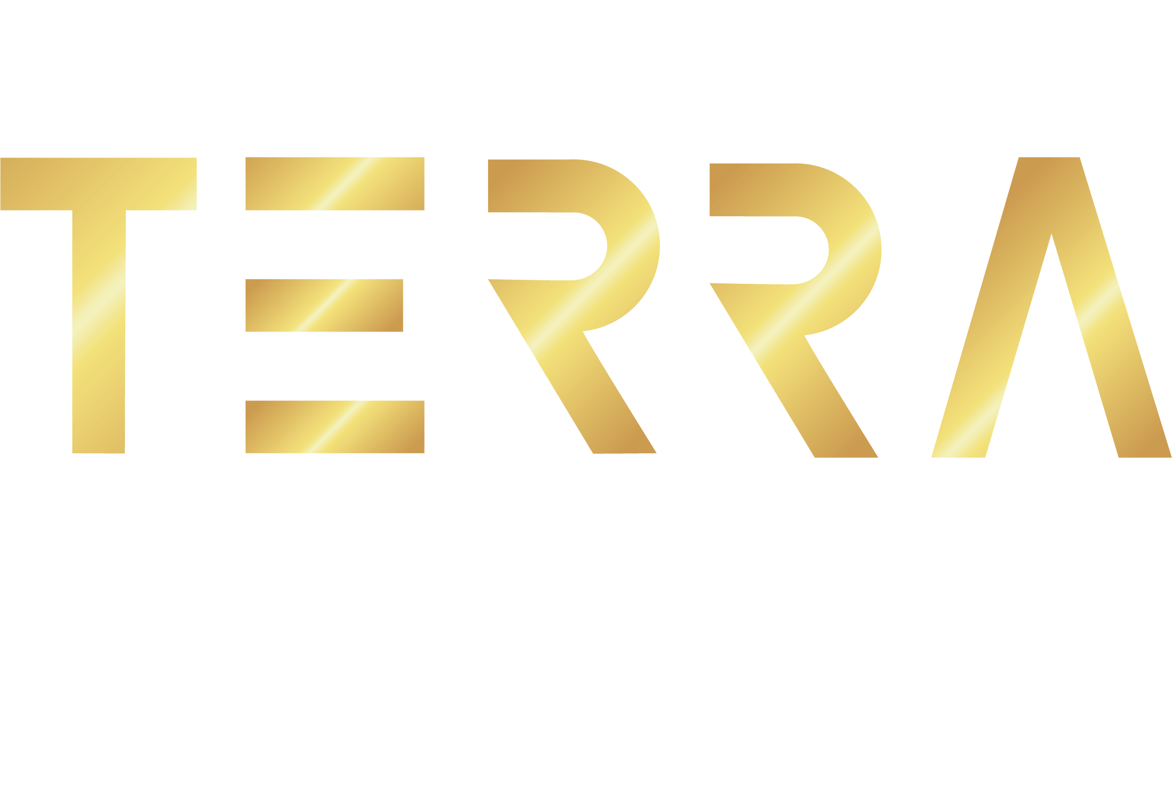 IMMO TERRA Immobilien GmbH
