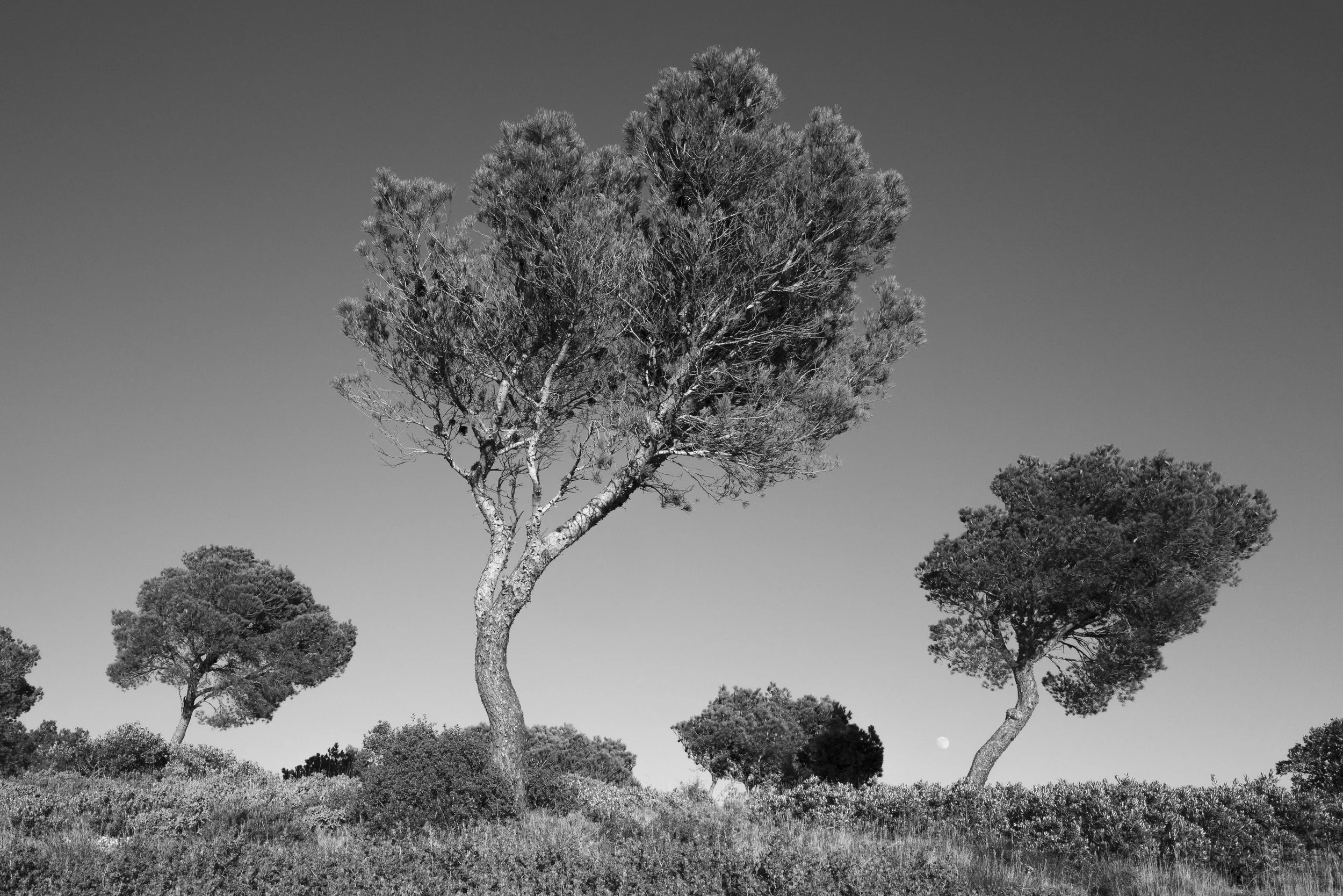 231224untitled390-60.jpg