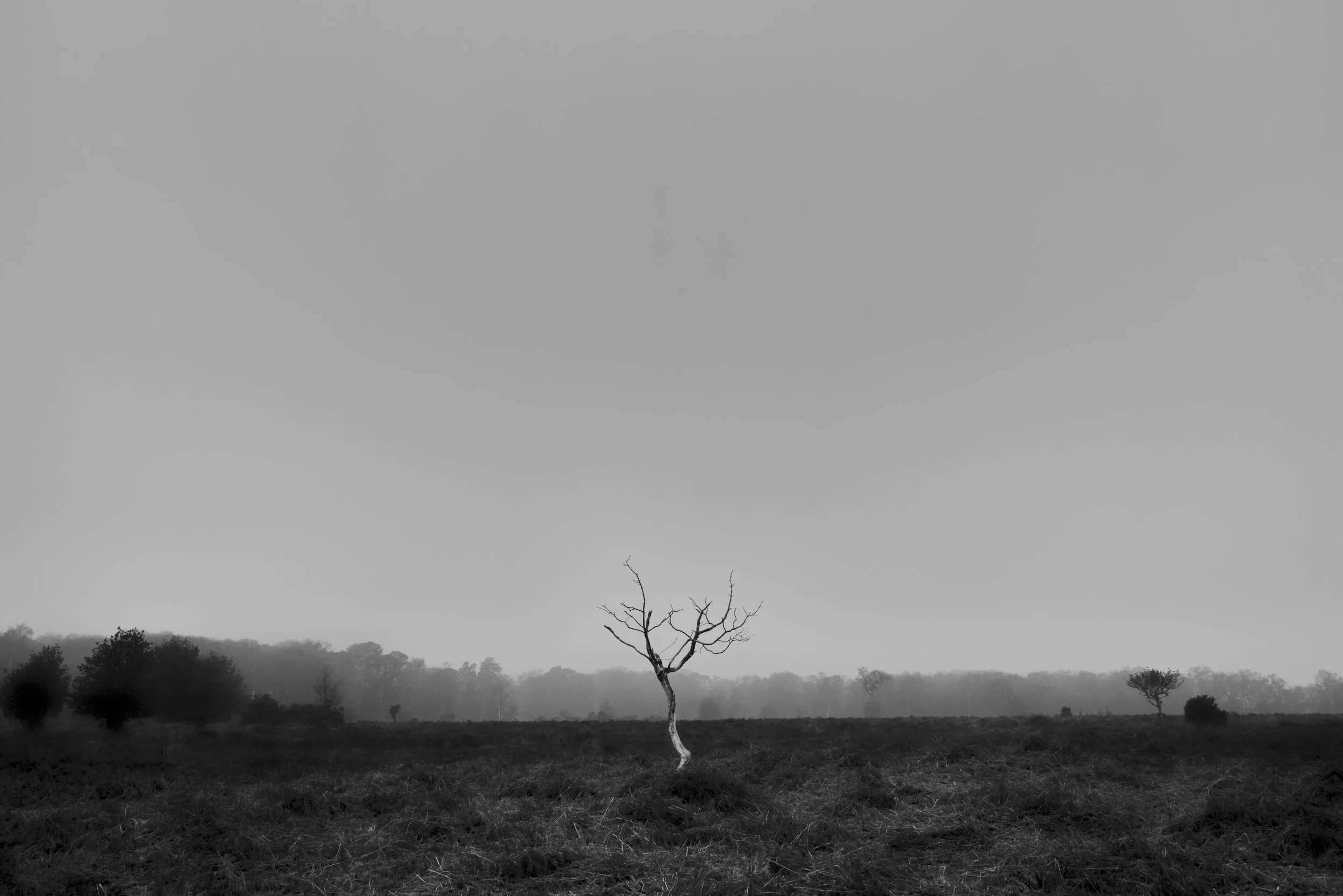 230125untitled357-145-Edit-2.jpg