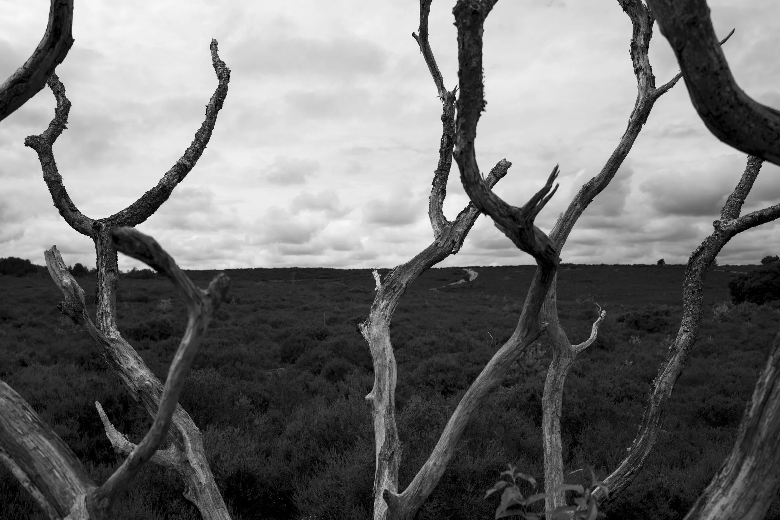 210712untitled260-146.jpg