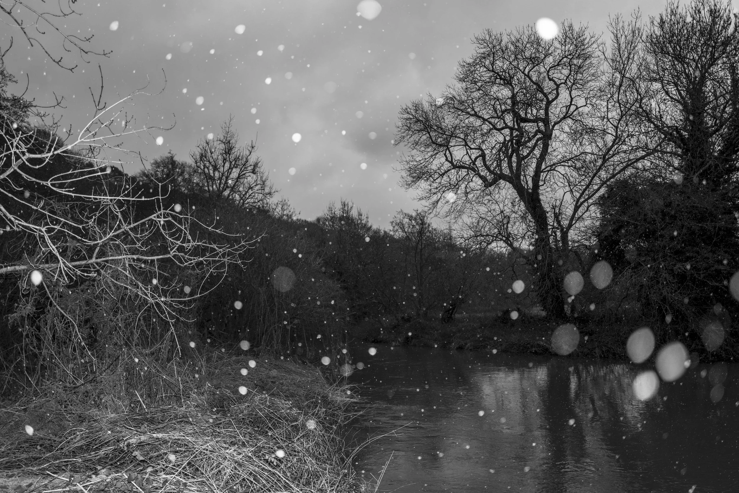 Song_of_Silent_Water_Chaze-12.jpg