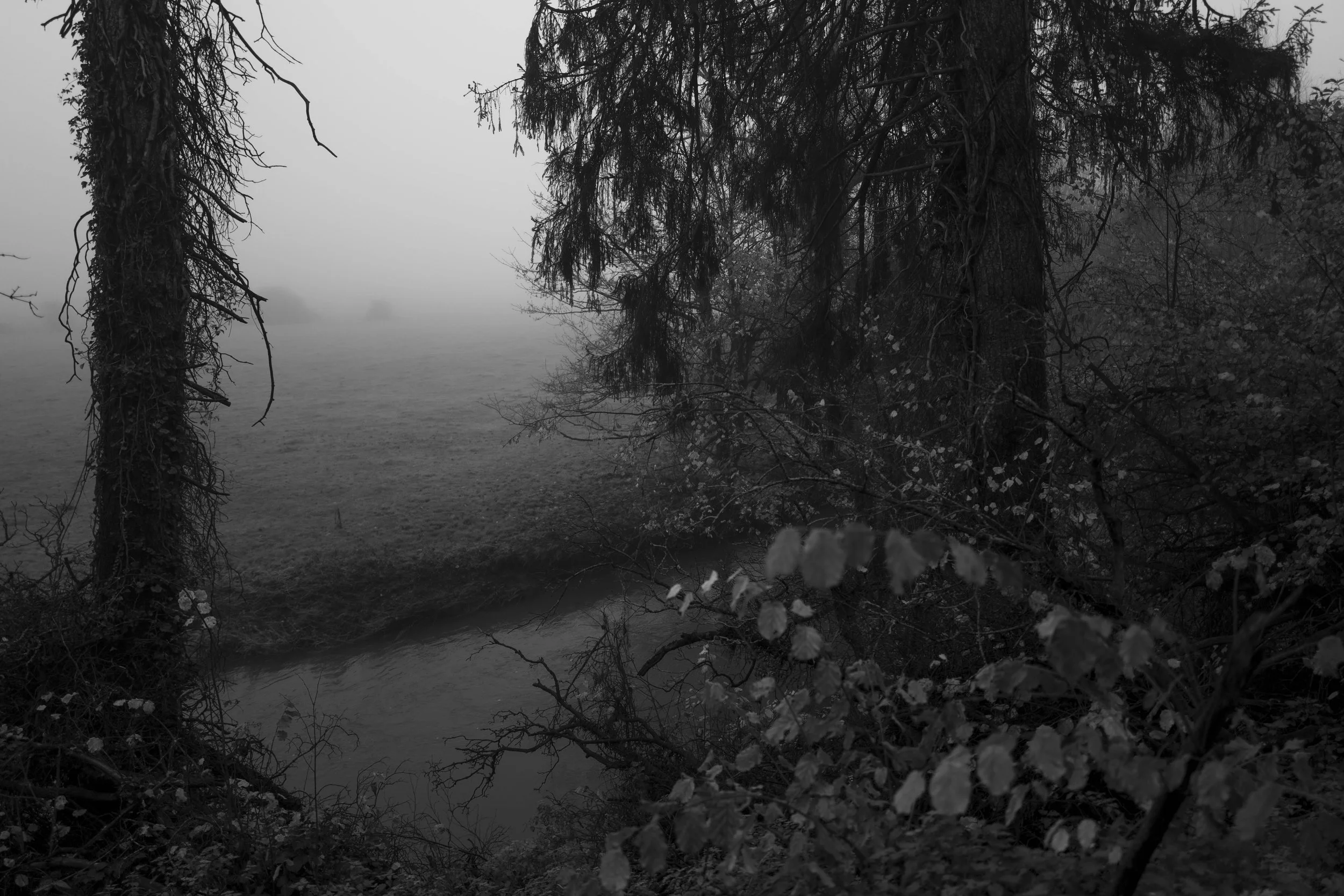 Song_of_Silent_Water_Chaze-15.jpg