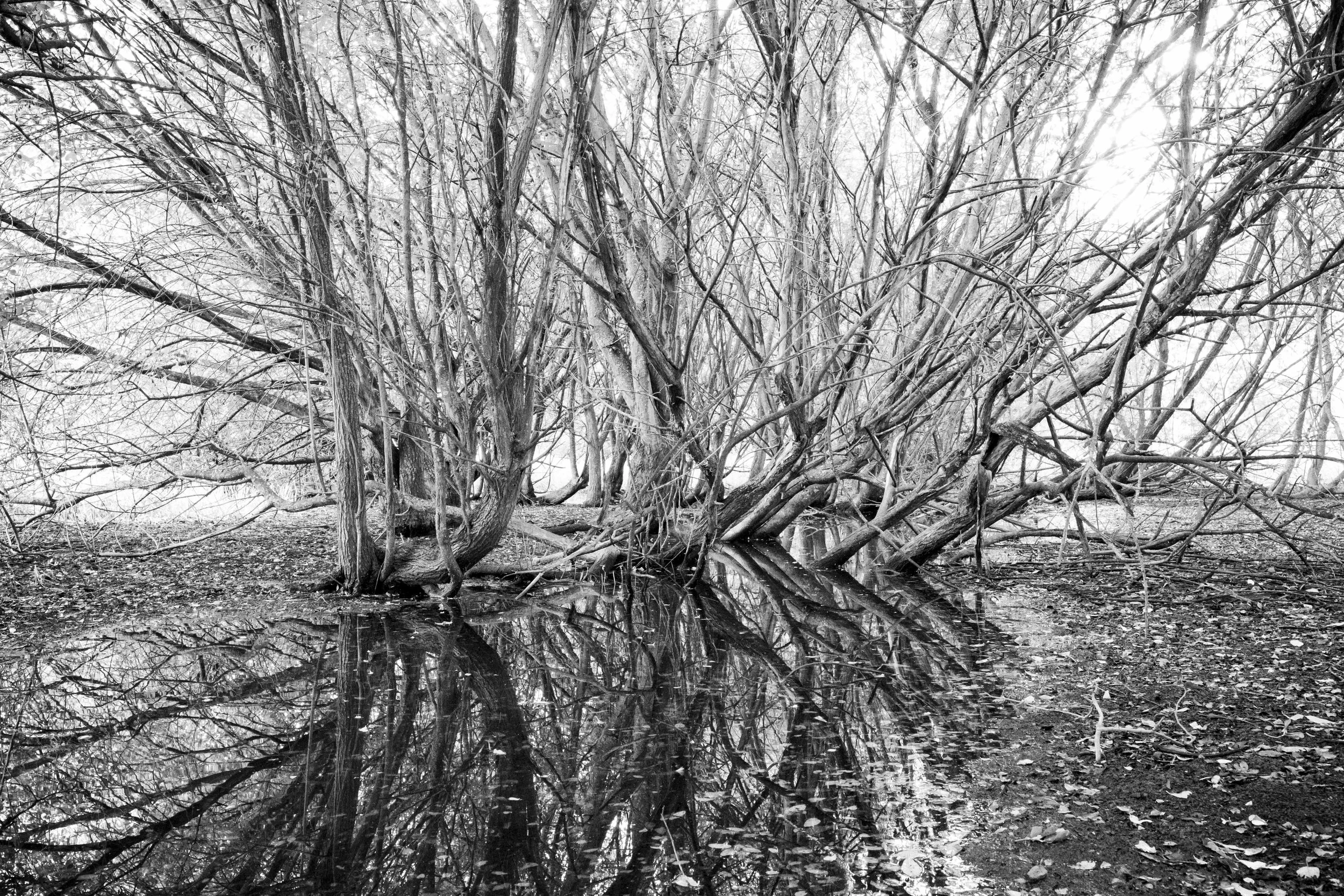 Song_of_Silent_Water_Chaze-18.jpg
