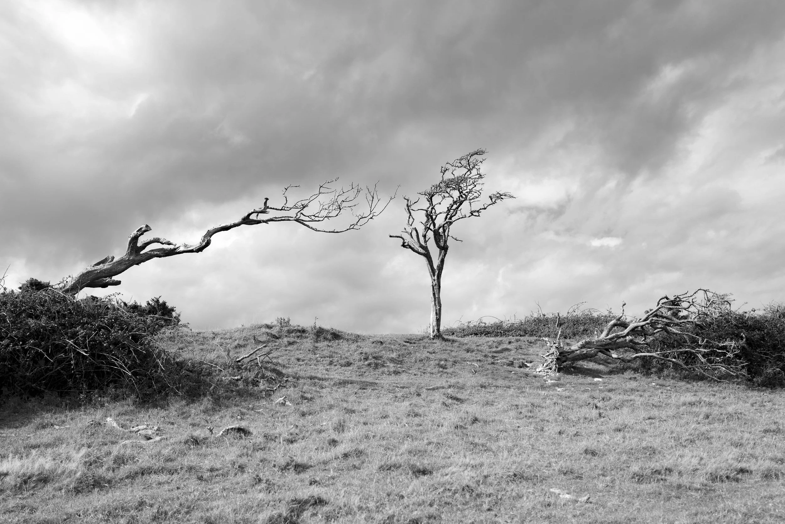 200929untitled196-454.jpg
