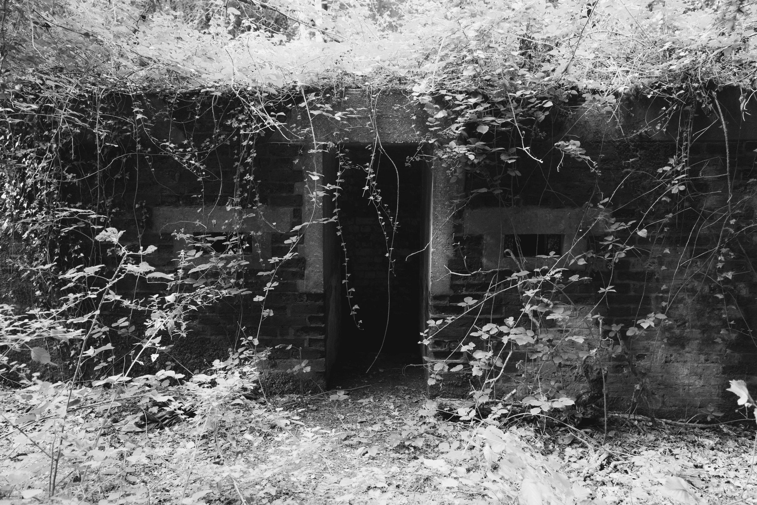 Bunkers-10-2.jpg
