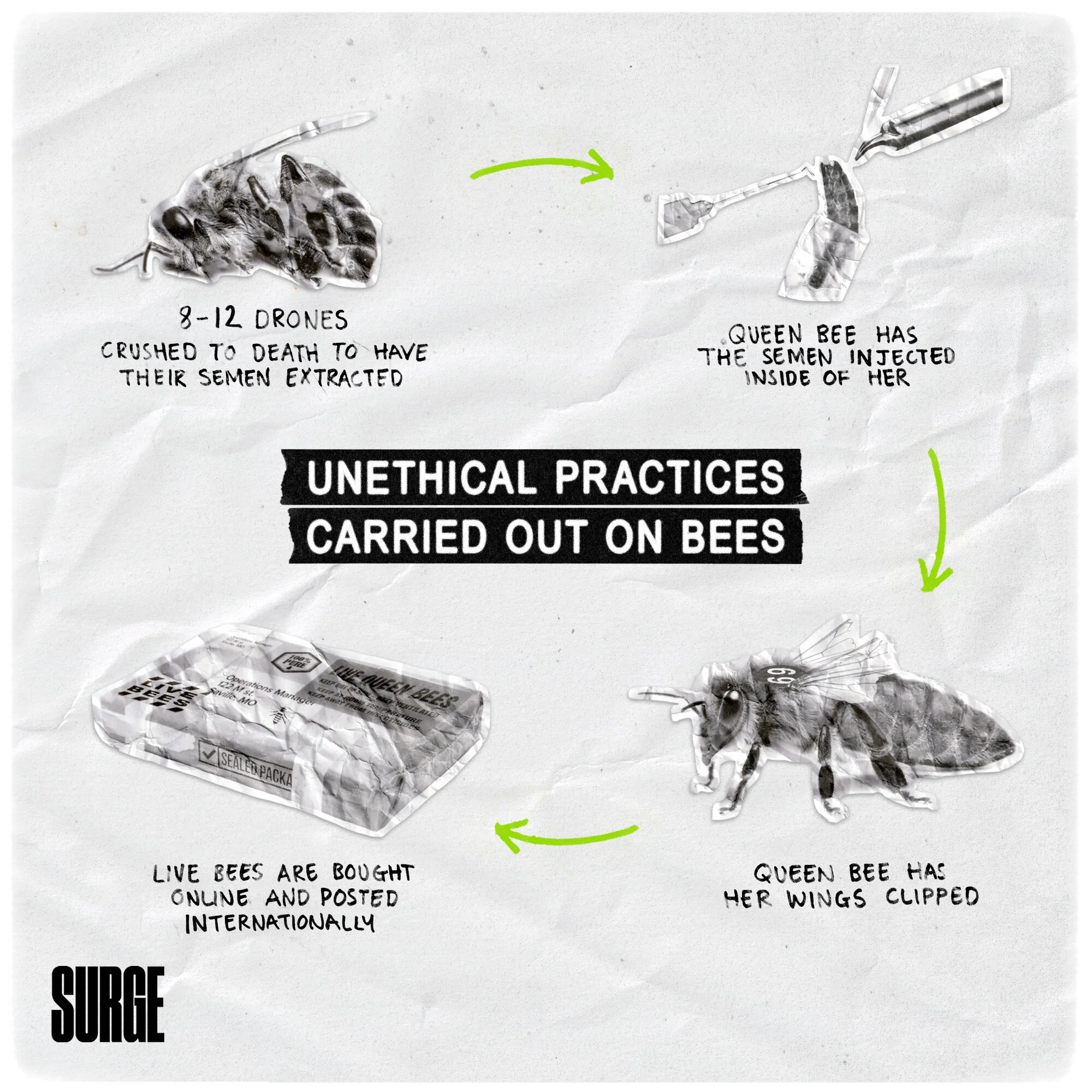 bags with bees on them