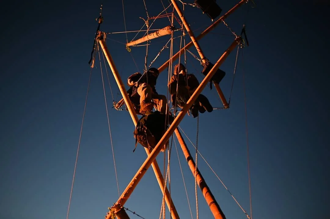Activists from Animal Rebellion have put up bamboo structures blockading McDonald's only burger factory in the UK. | Credit: Animal Rebellion (via Instagram)