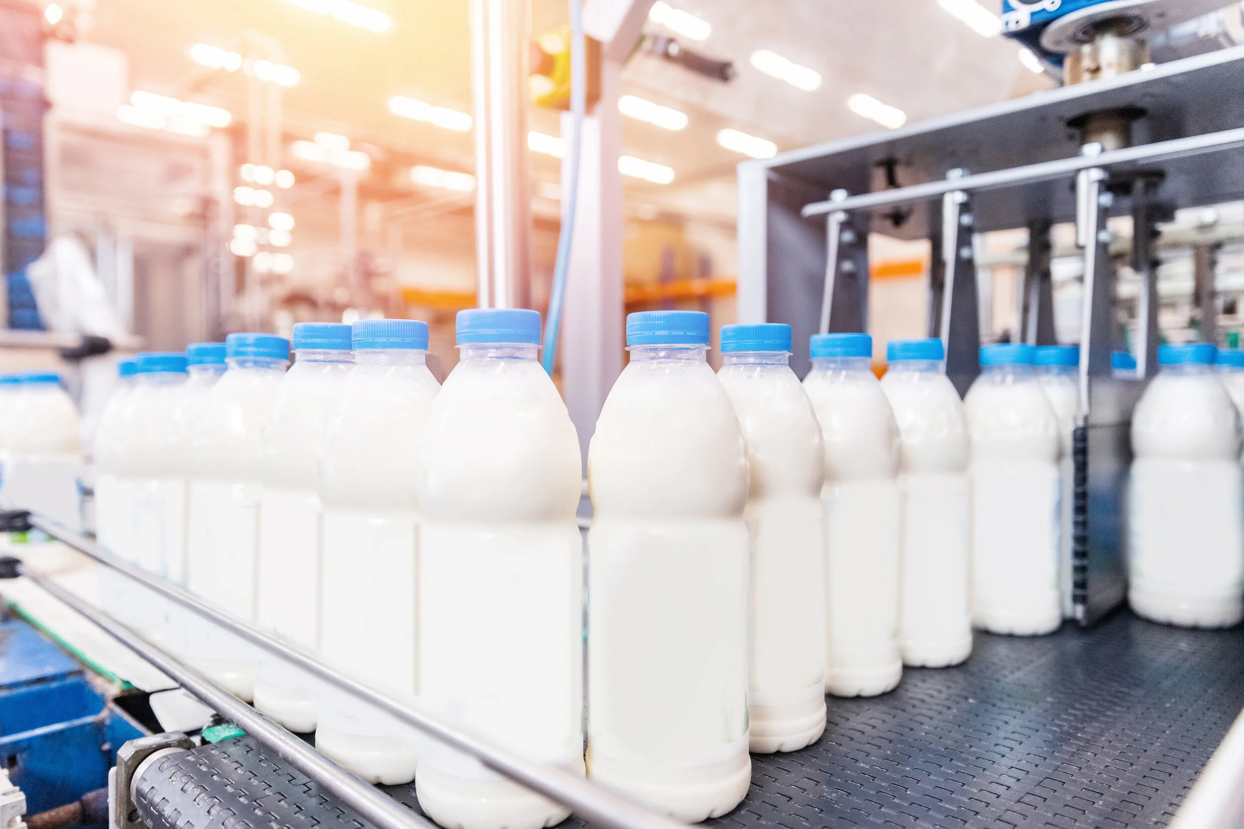 Disrupting dairy: cell culture technology could ...
