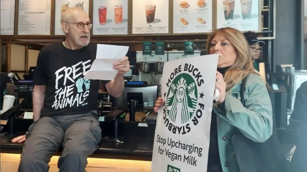 Actor glues himself to Starbucks counter in protest at vegan surcharge