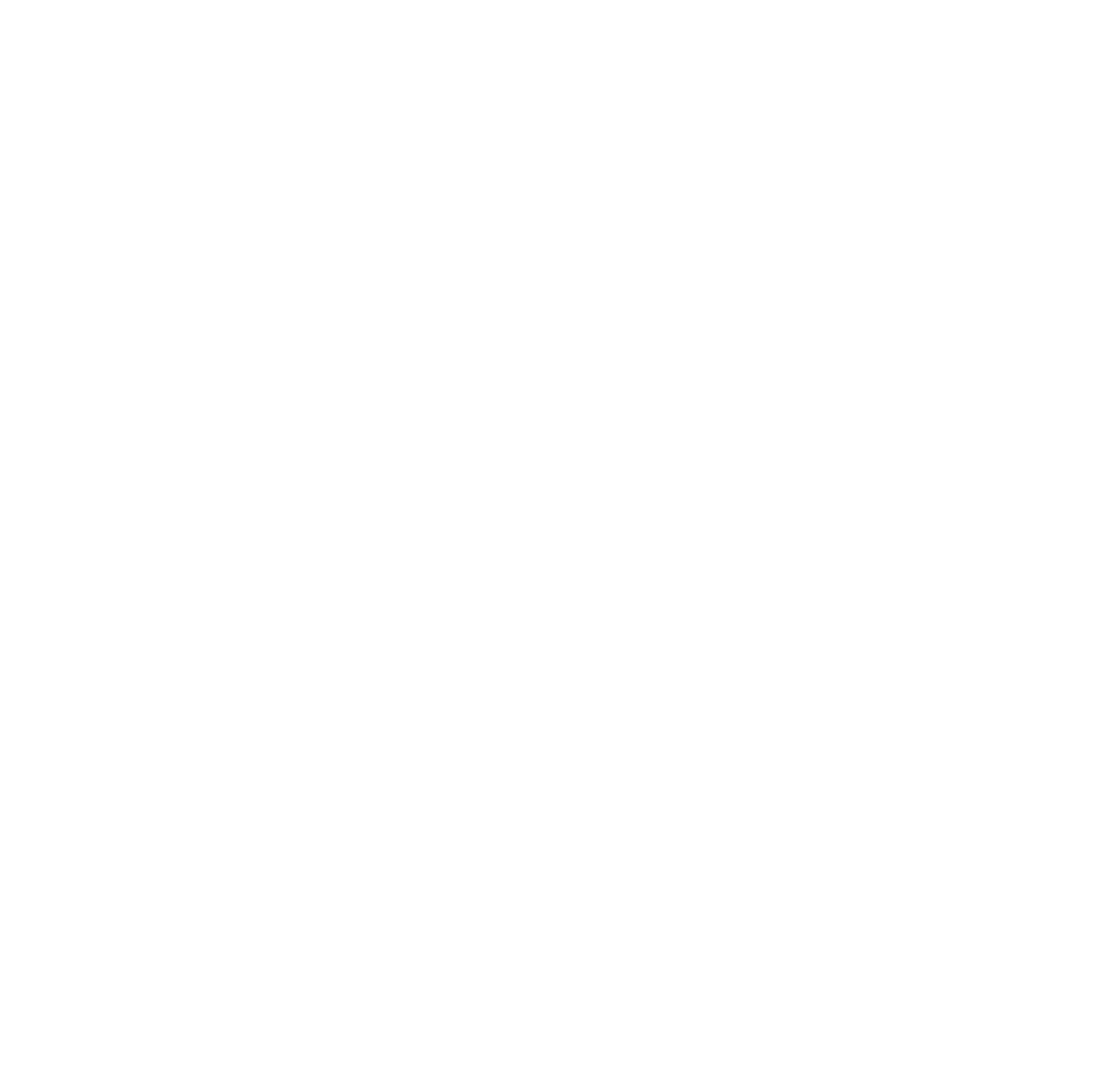 PWC Logo - White.png