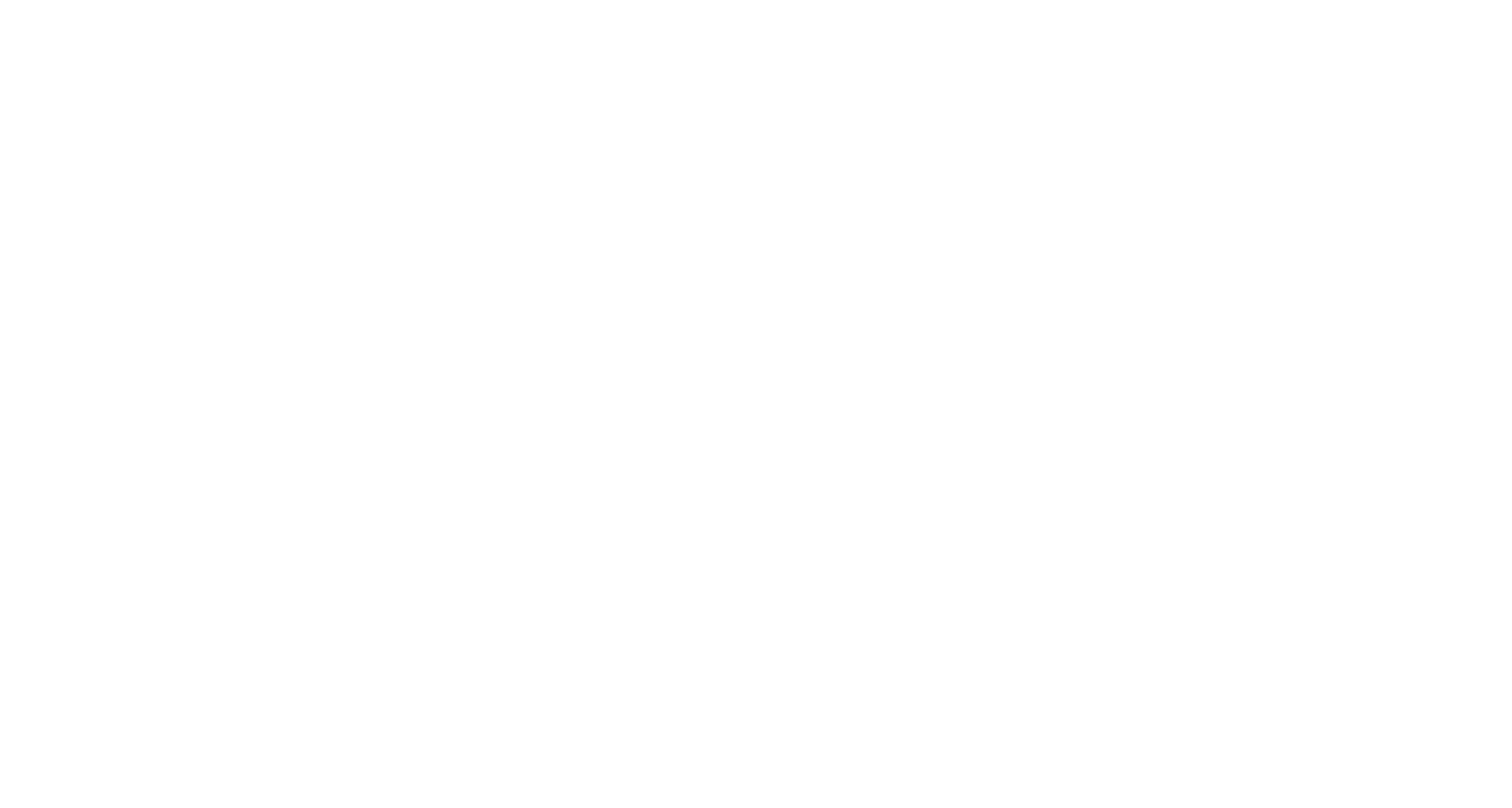 Diamond Sponsor - Merrill Lynch - White.png