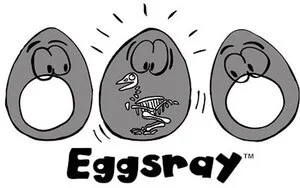 Eggsray