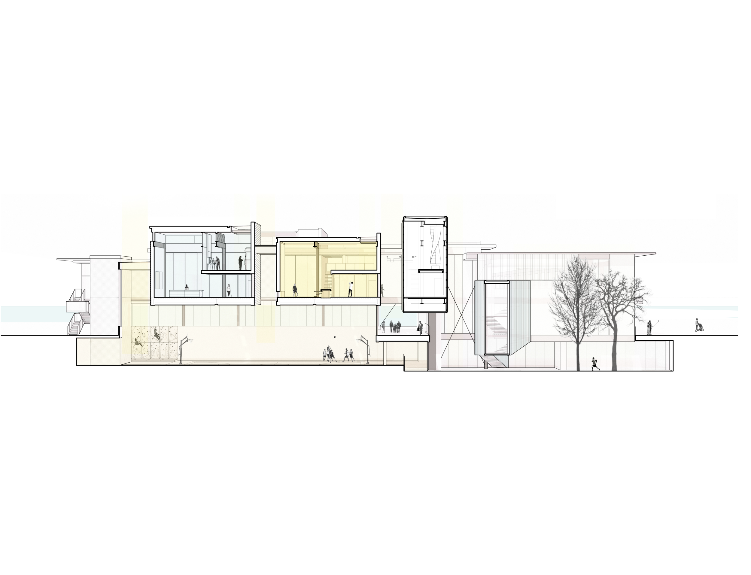 inhabiting_section_section_perspective_resized.png