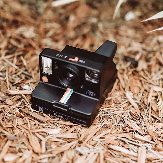 We have special wedding packages, and engagement sessions that include Polaroid prints, how cool is that?!📸 Link in bio to learn more! @polaroid @polaroidoriginals #polaroidoriginals #photographybusiness #weddingphotography #weddingphotographer #pho