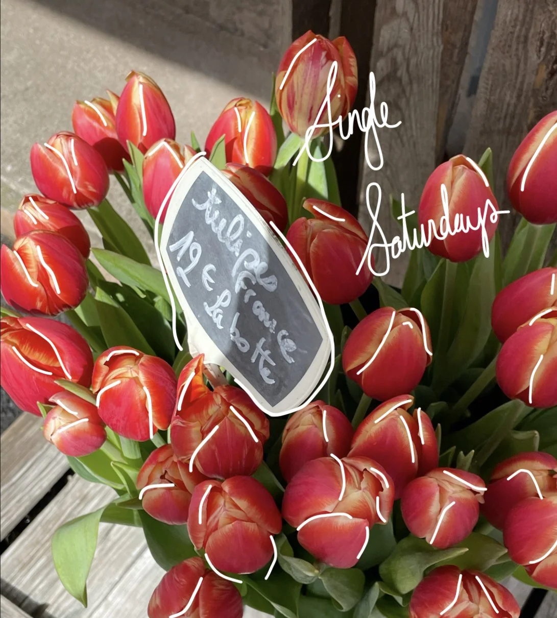 Single Saturdays: April 1st, 2023