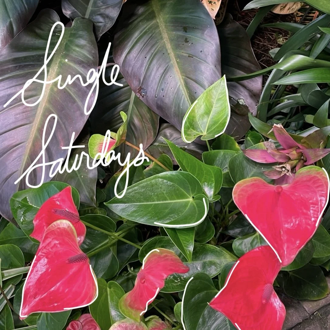 Single Saturdays: March 23, 2024