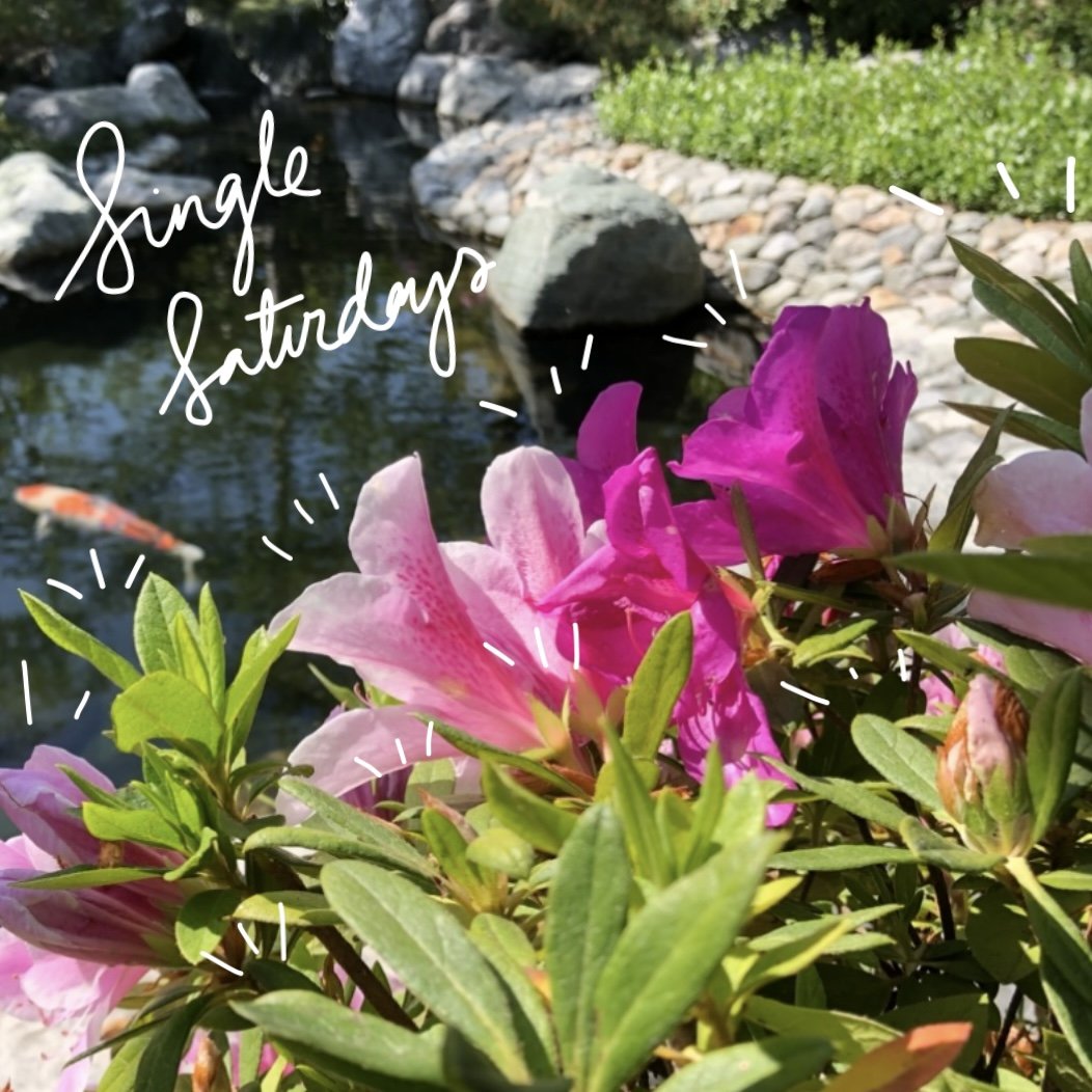 Single Saturdays: April 13, 2024