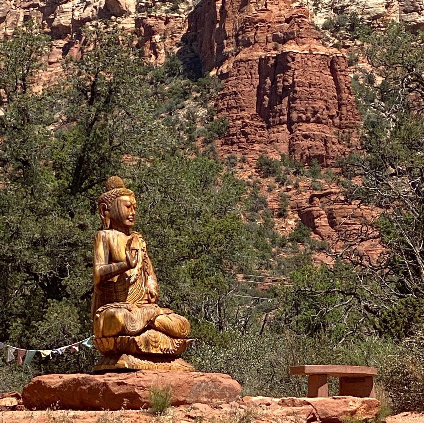 Nature. Breathtaking. Peaceful. Feeling in awe, connected and energized! Spending time in Sedona, AZ. Feeling blessed. Taking in the spectacular views.