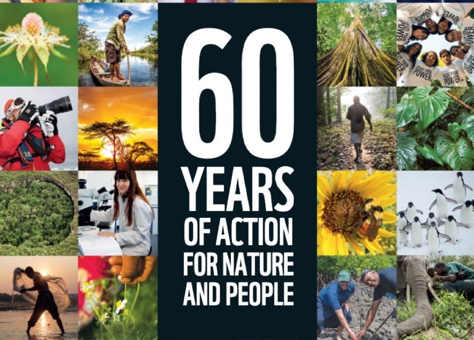 THE WWF&rsquo;S GLOBAL CELEBRATION TO CELEBRATE 60 YEARS OF ACTION FOR NATURE AND PEOPLE.  June 23, 2021
What a great virtual celebration. I feel blessed to be part of the WWF family!  The celebration began with a special tribute to HRH The Duke of E