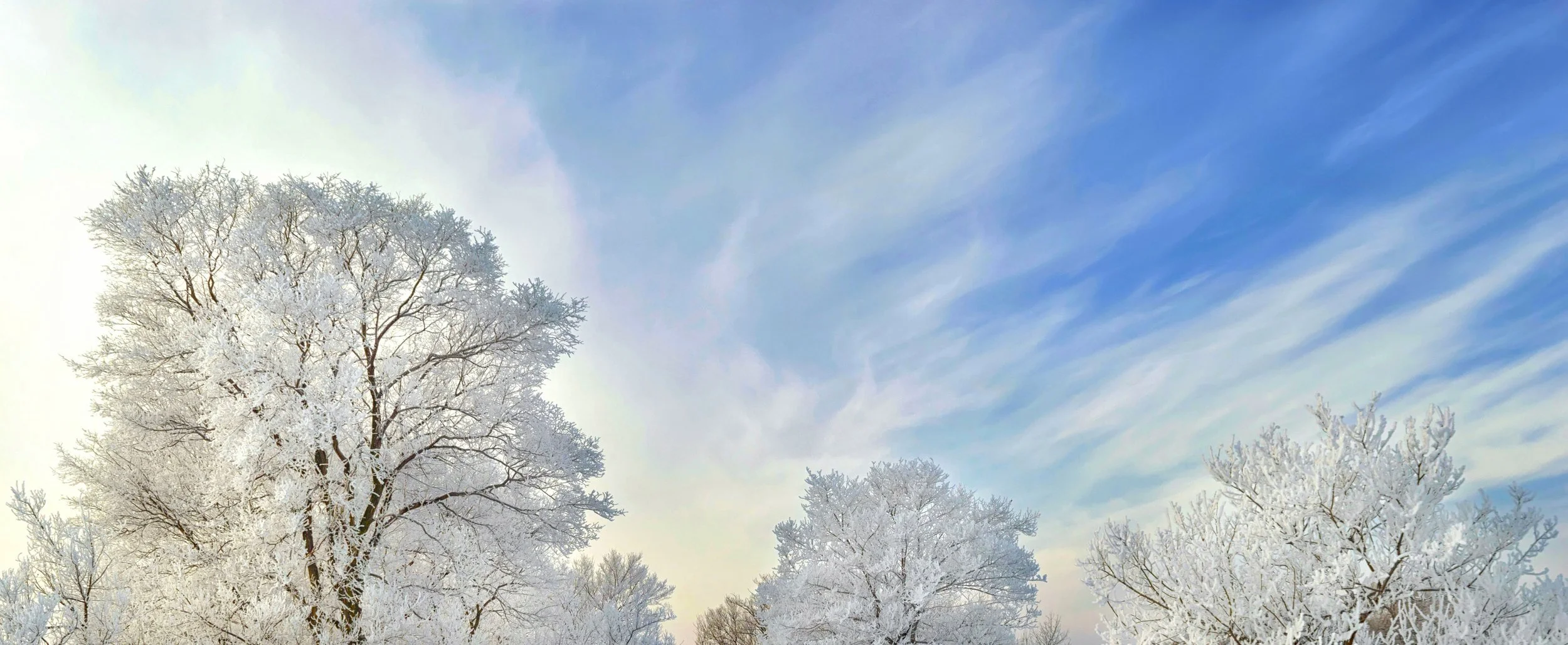 iStock-633114620.jpg