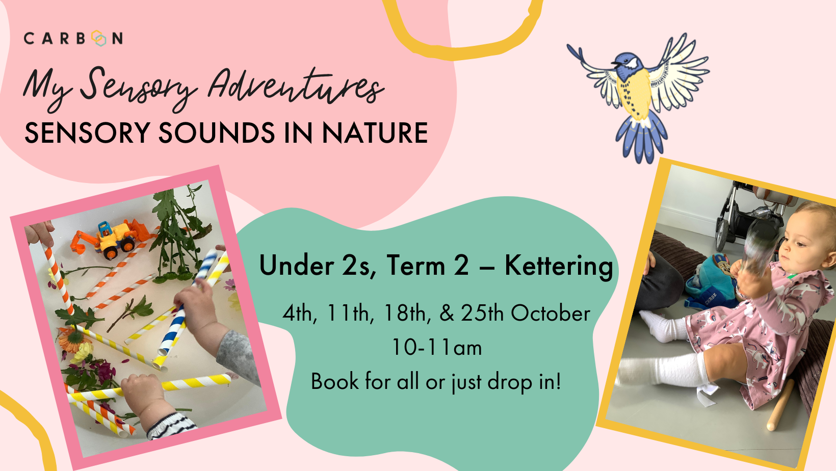Under 2s Sensory Sounds in Nature: Autumn Term (Kettering) 