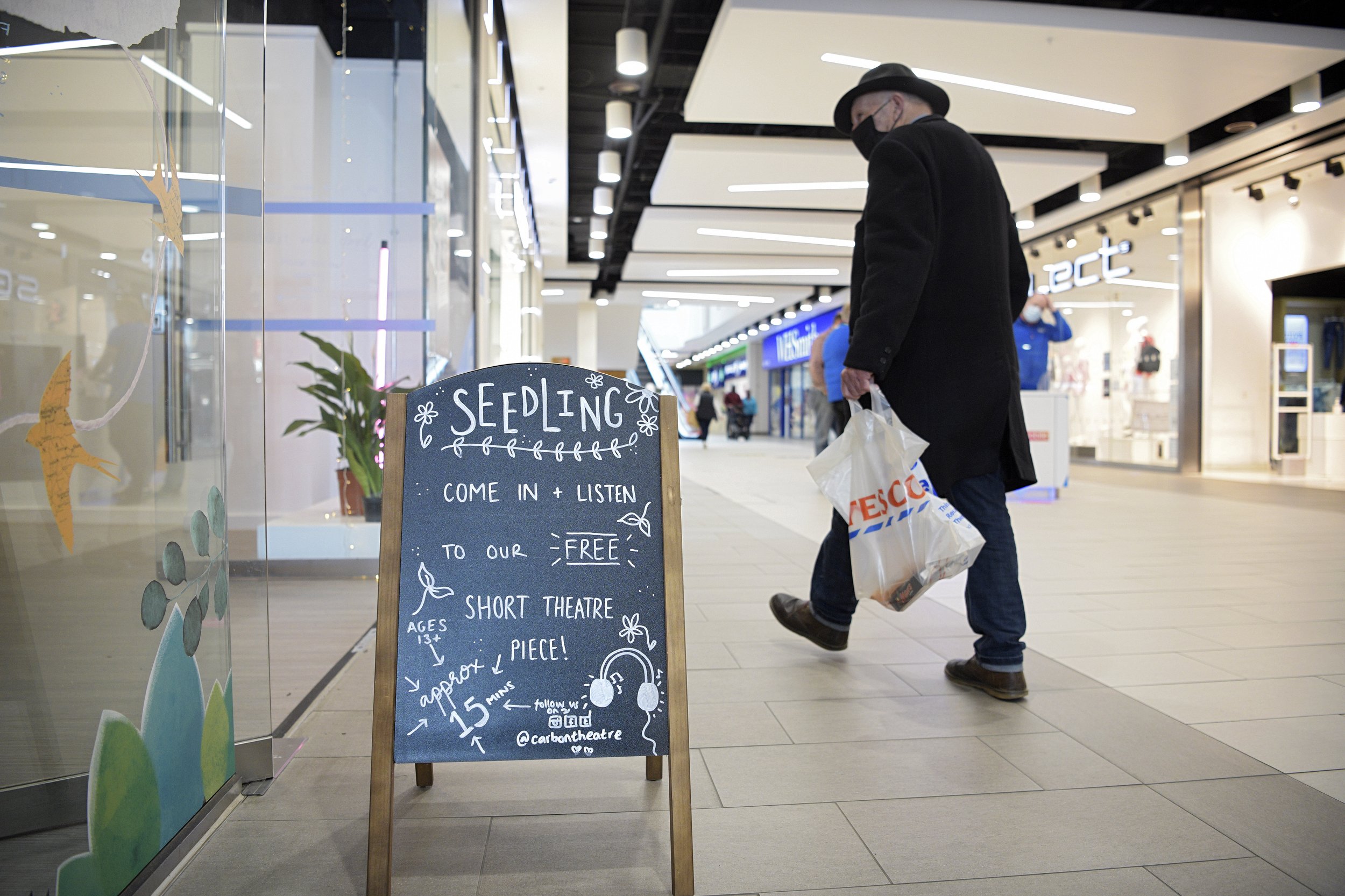 Seedling is coming back!