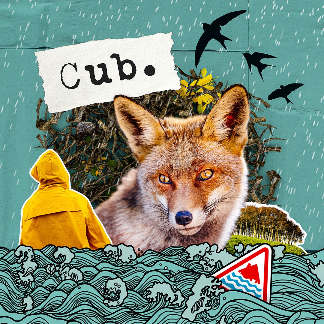 A storm is coming and the waters are rising. What will happen to the home where Kit, Mum and Nai Nai live? What about the fox and her cubs?

Climb inside our den for an exciting story about how big our families really are.

Cub is a audio story and d