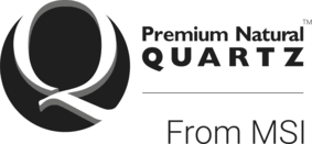 Q-MSI logo.png