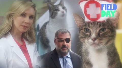 Cat Soap Opera | Mark Douglas of The Key of Awesome Has A Field Day
