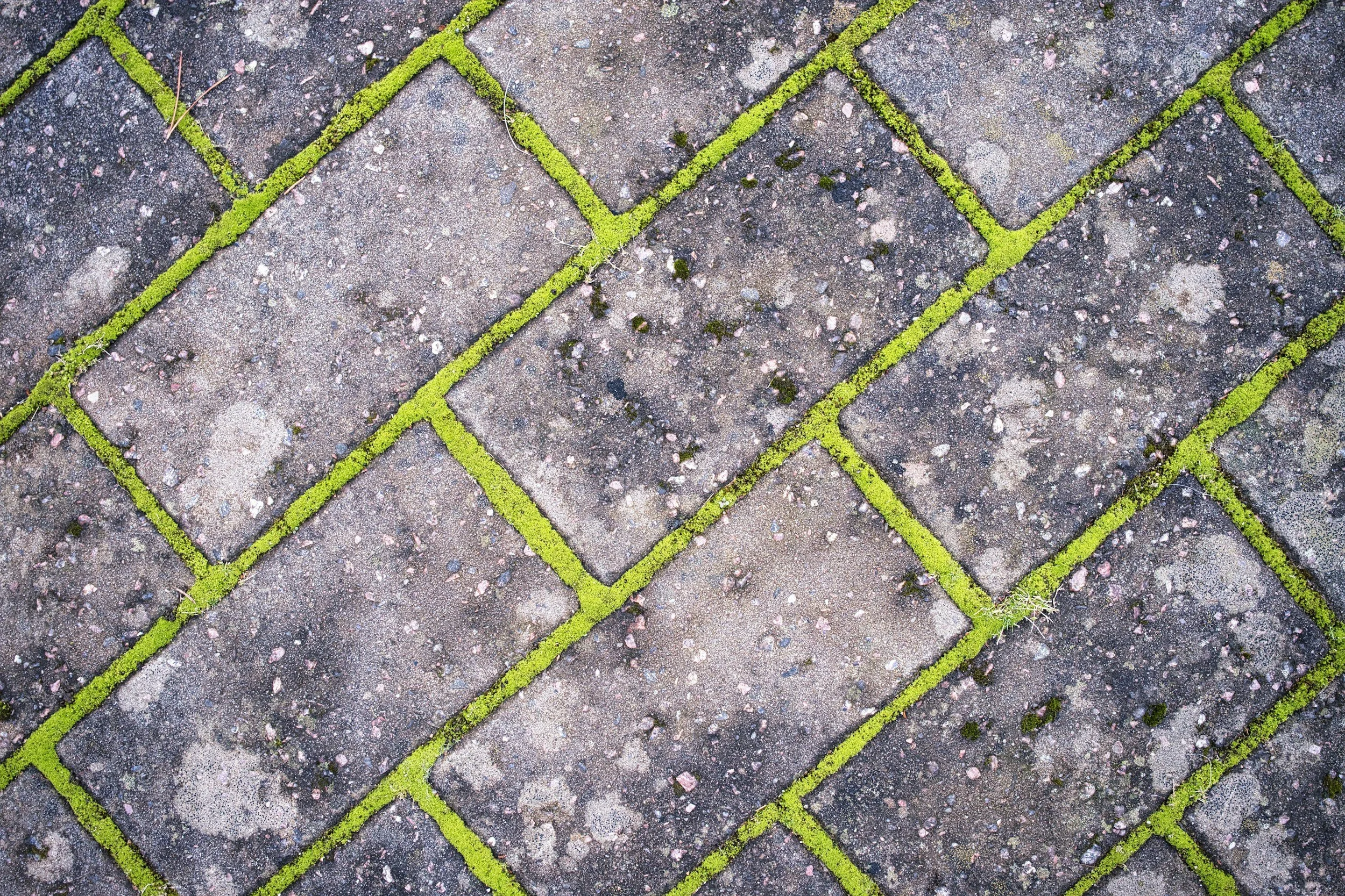 Top Interlocking Stone Trends to Elevate Your Curb Appeal