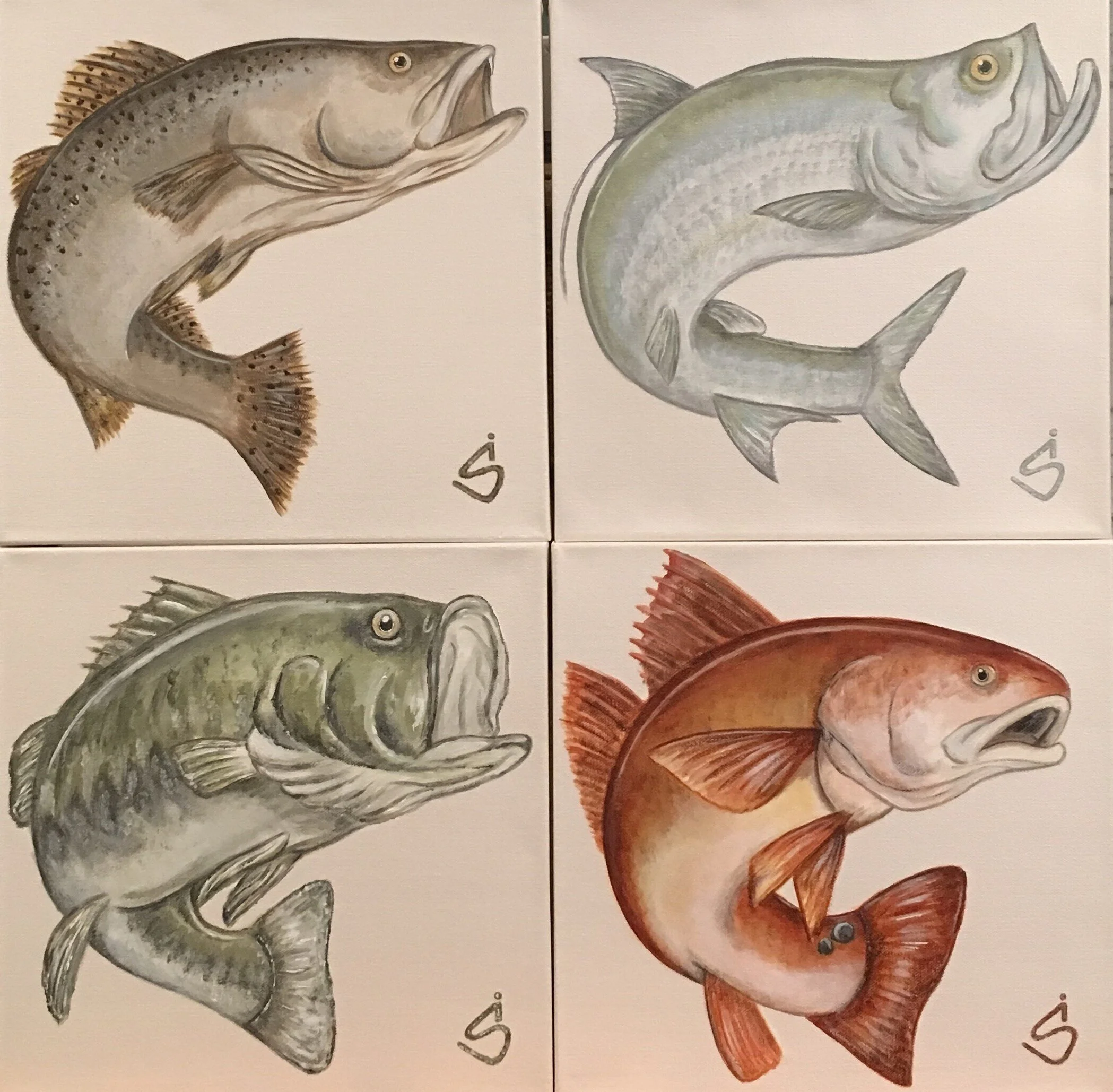 Louisiana Sport Fishing