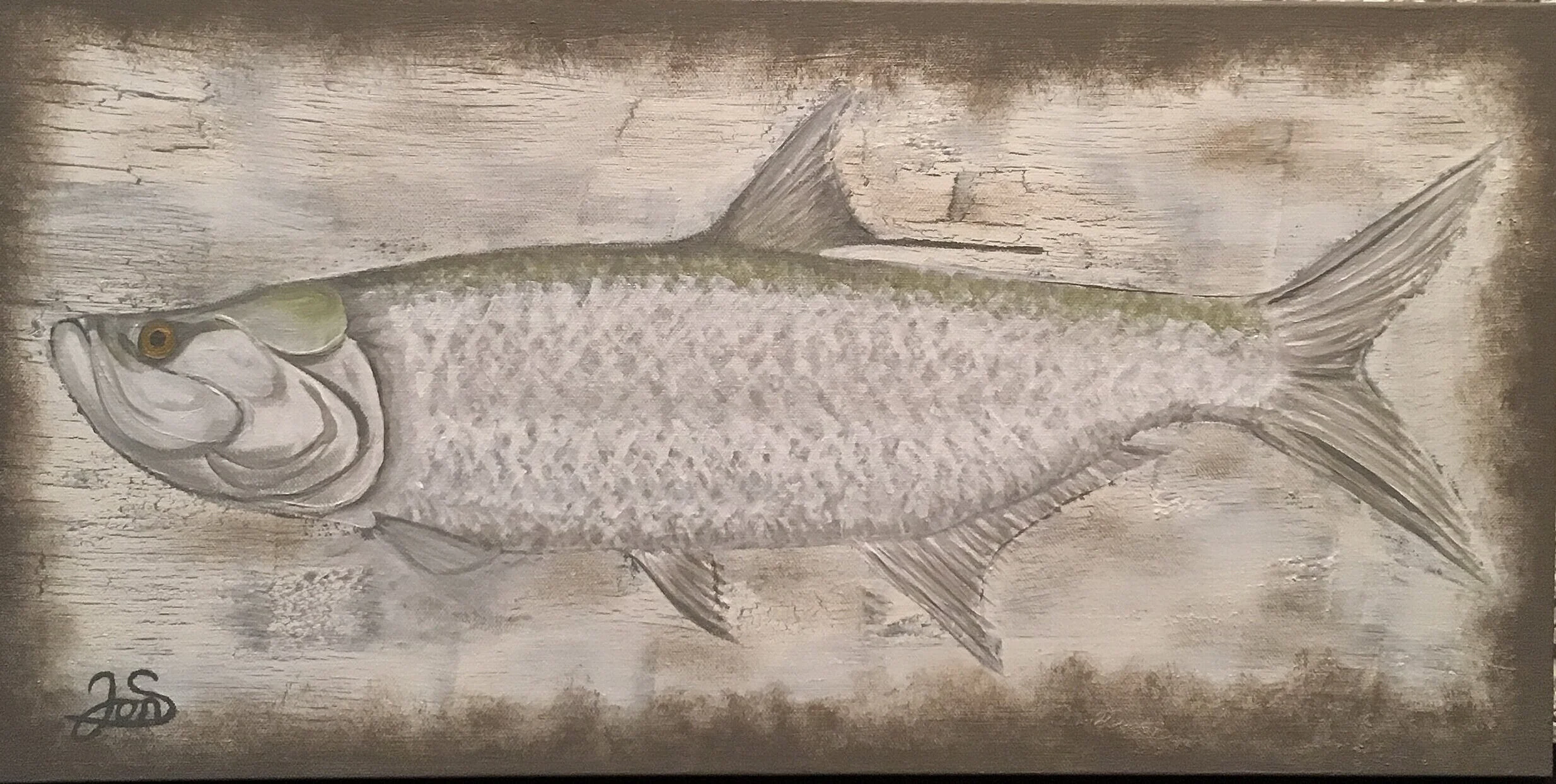  Tarpon