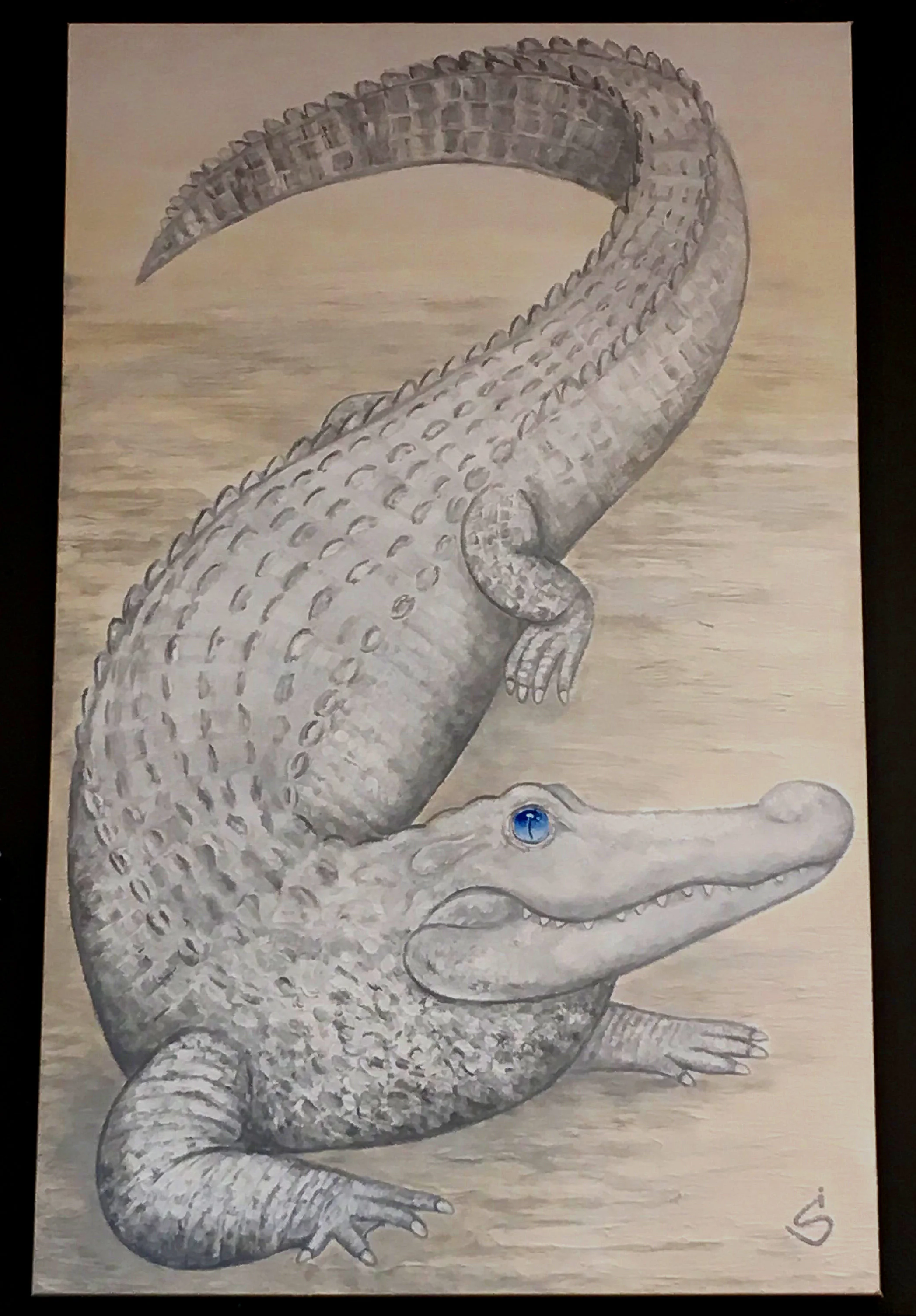 Albino Alligator - Vertical 