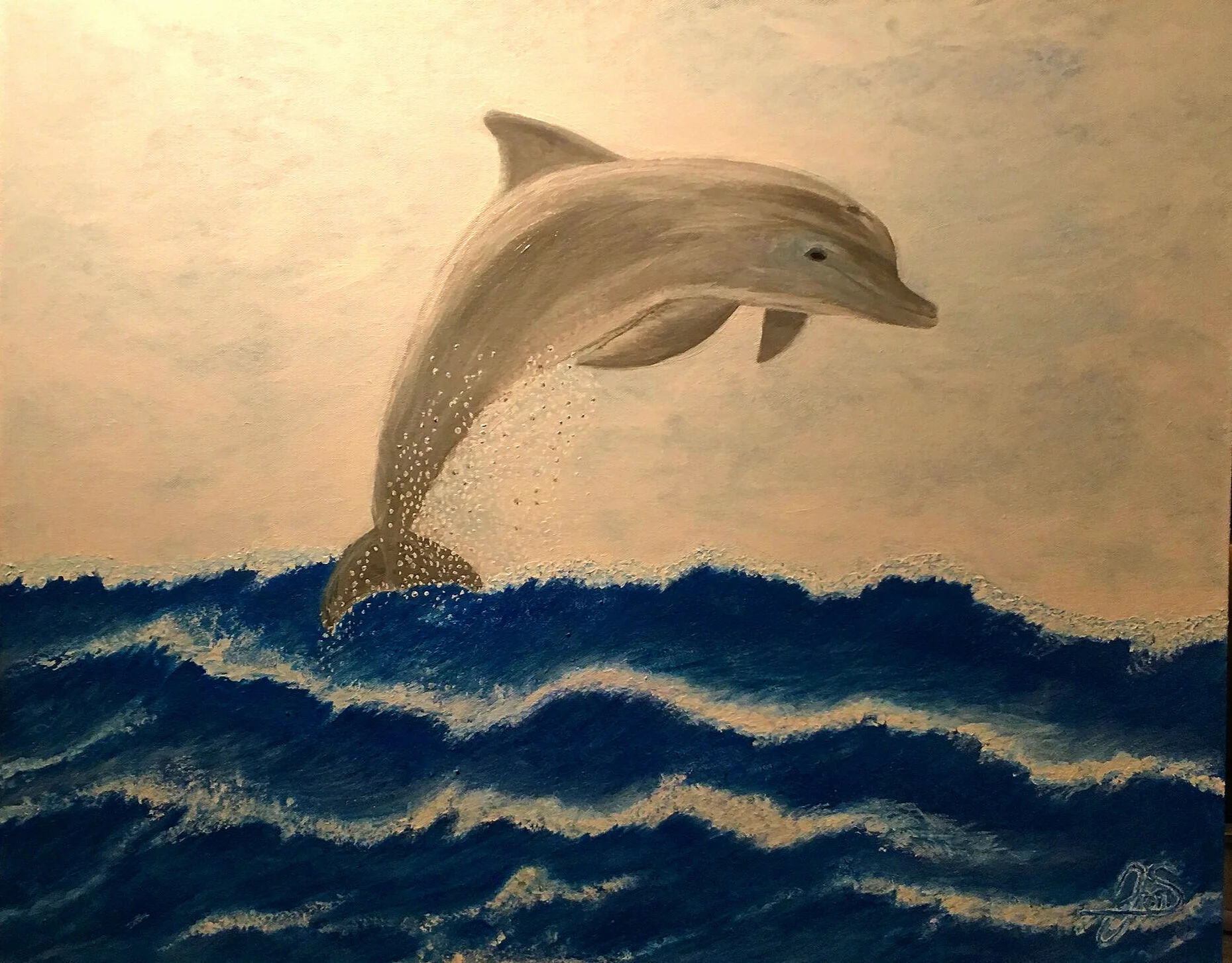 Tursiops Truncatus - Dolphin